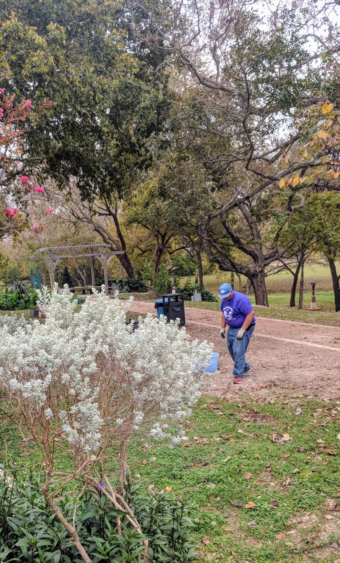 IMG_20171107_104708 (1) (1)