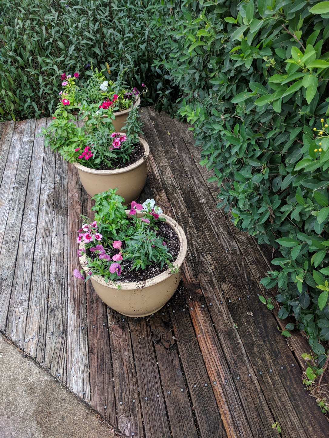 IMG_20171107_104834 (1)