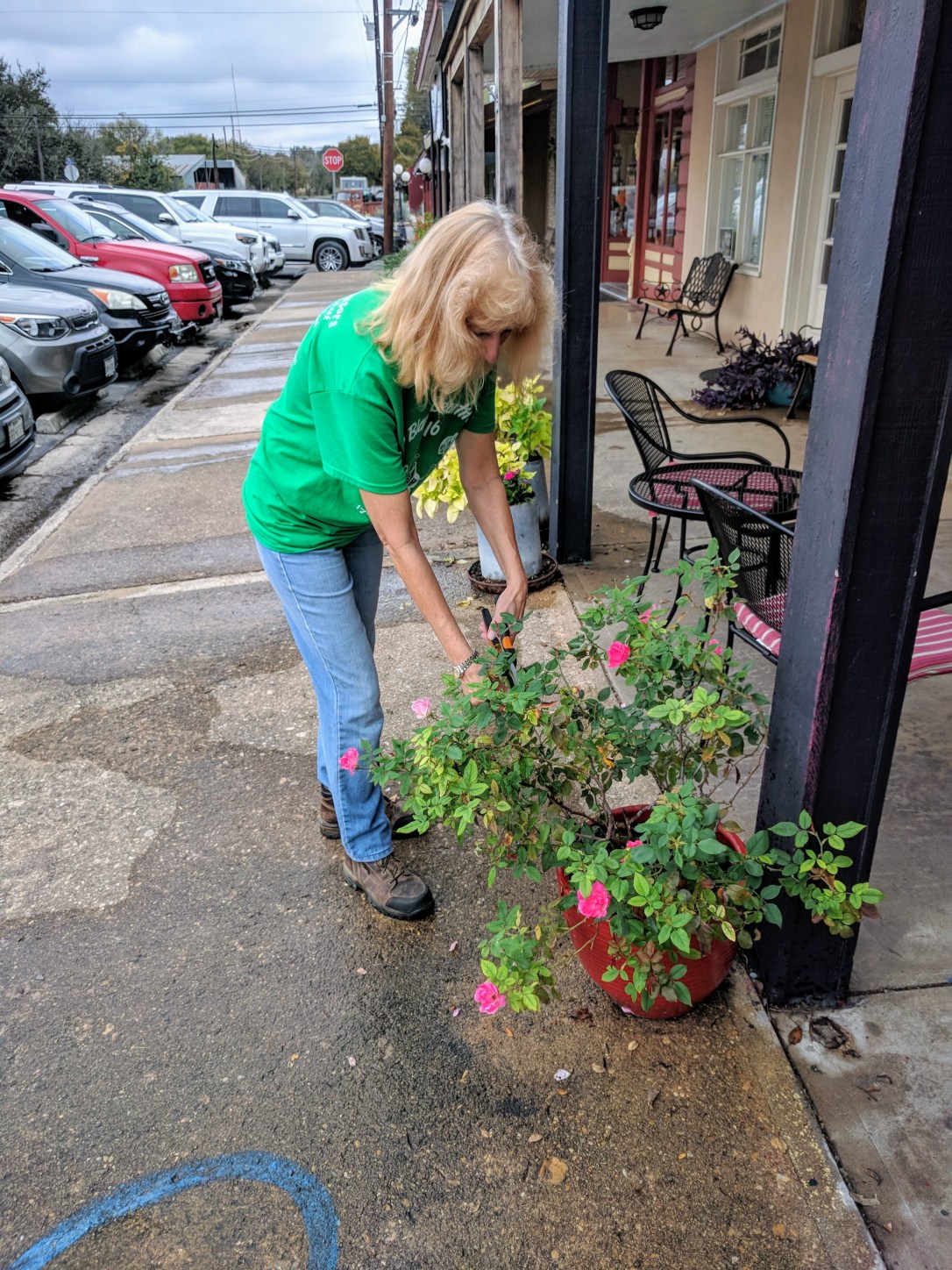 IMG_20171114_095139 (1) (1)