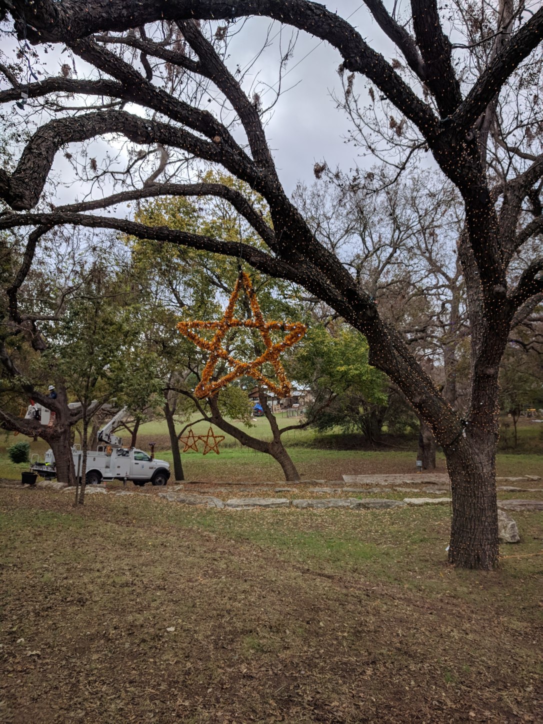 IMG_20171114_095513 (1)