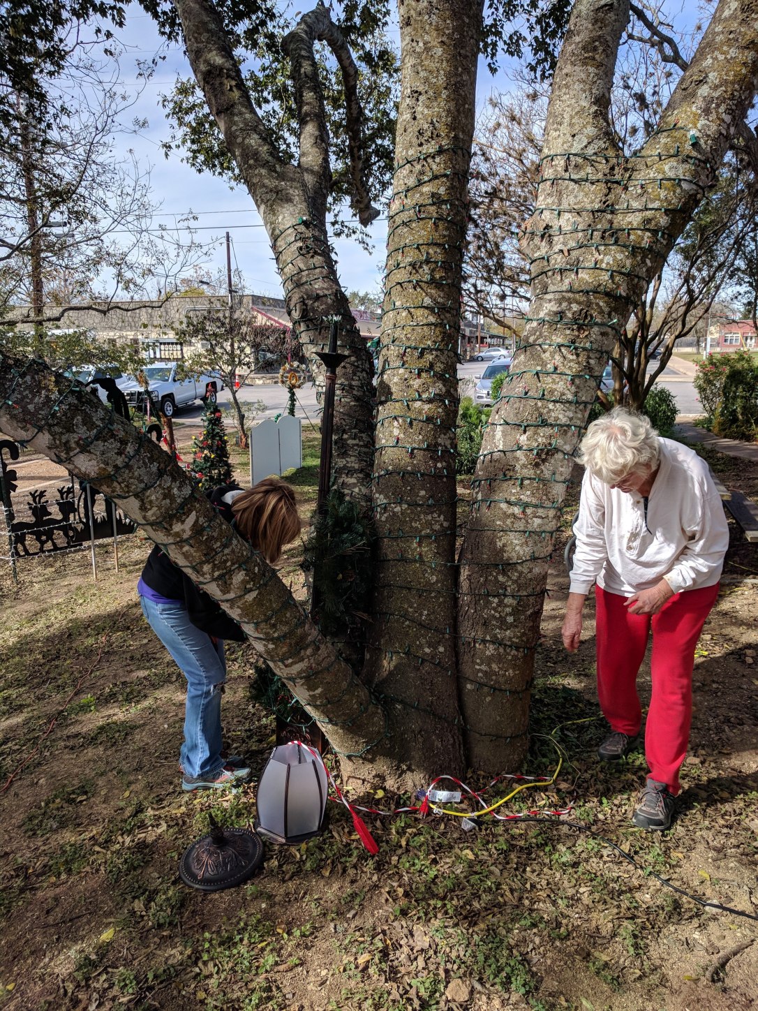 IMG_20171121_111312 (1) (1)