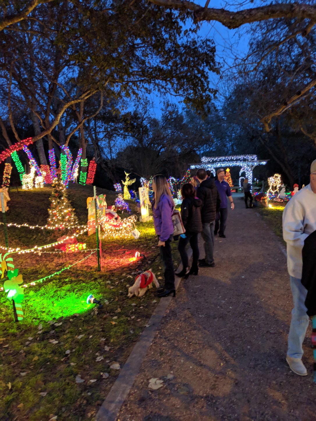 MVIMG_20181123_175342