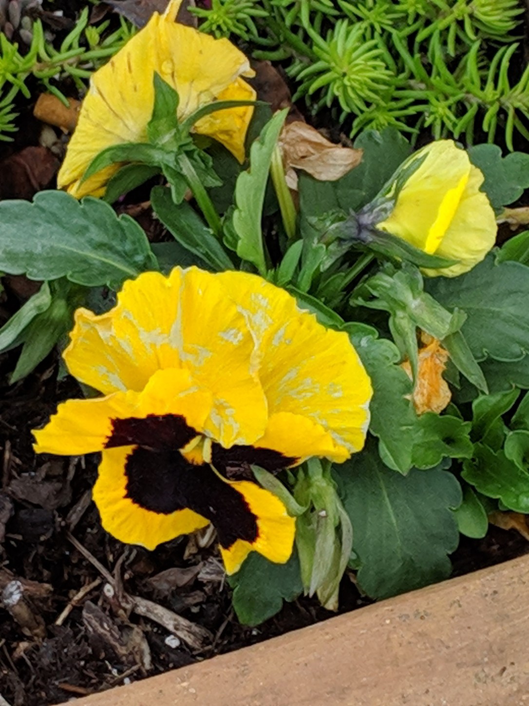 00000IMG_00000_BURST20190319103143983_COVER