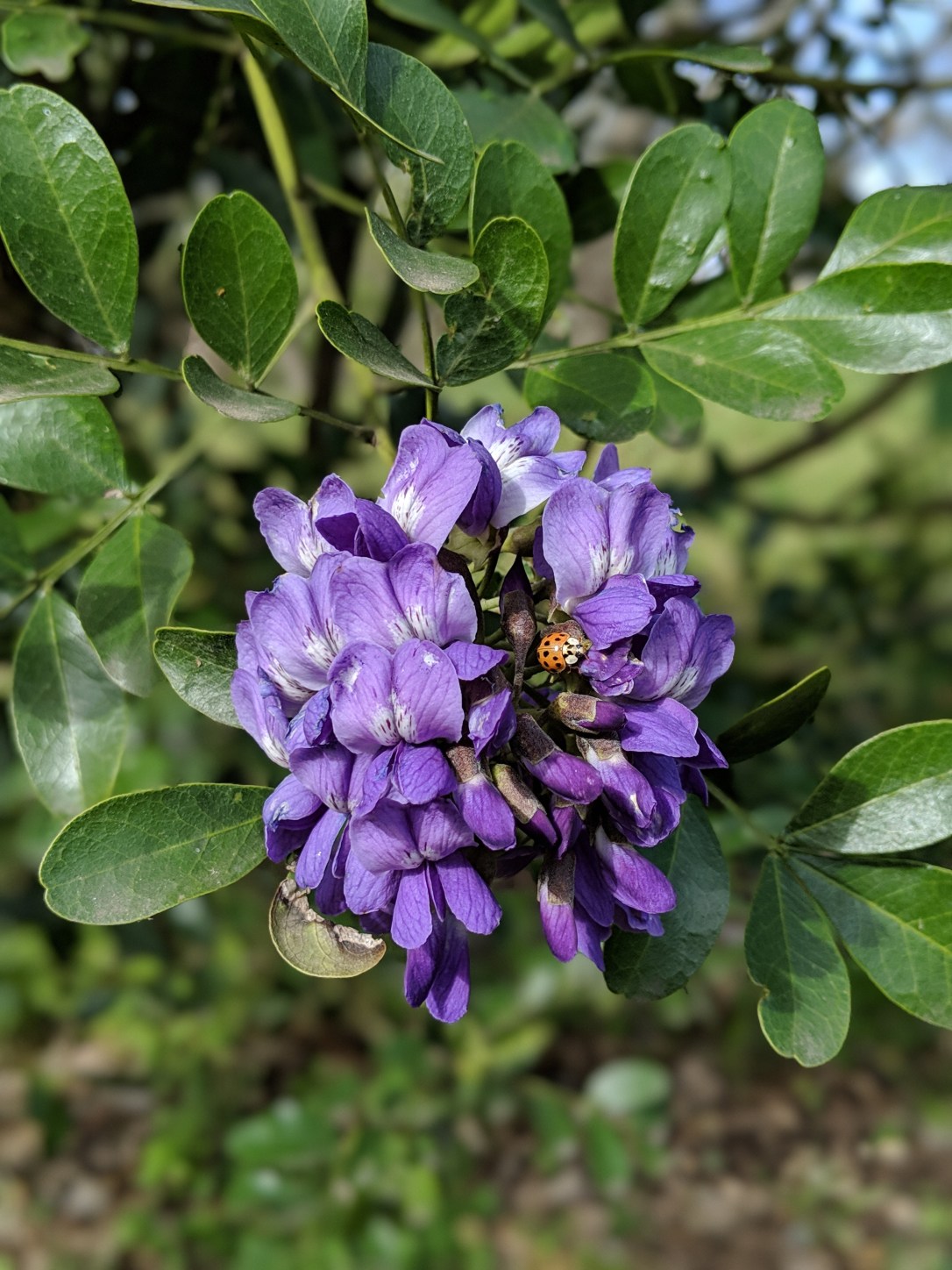 00100lPORTRAIT_00100_BURST20190319102355379_COVER