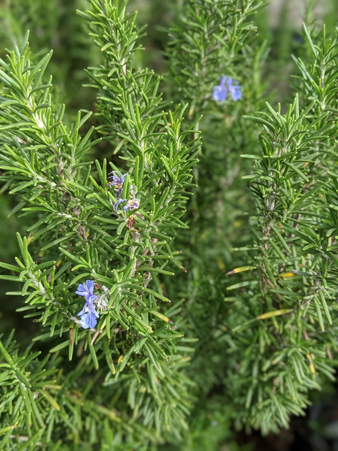 00100lPORTRAIT_00100_BURST20190319102936634_COVER