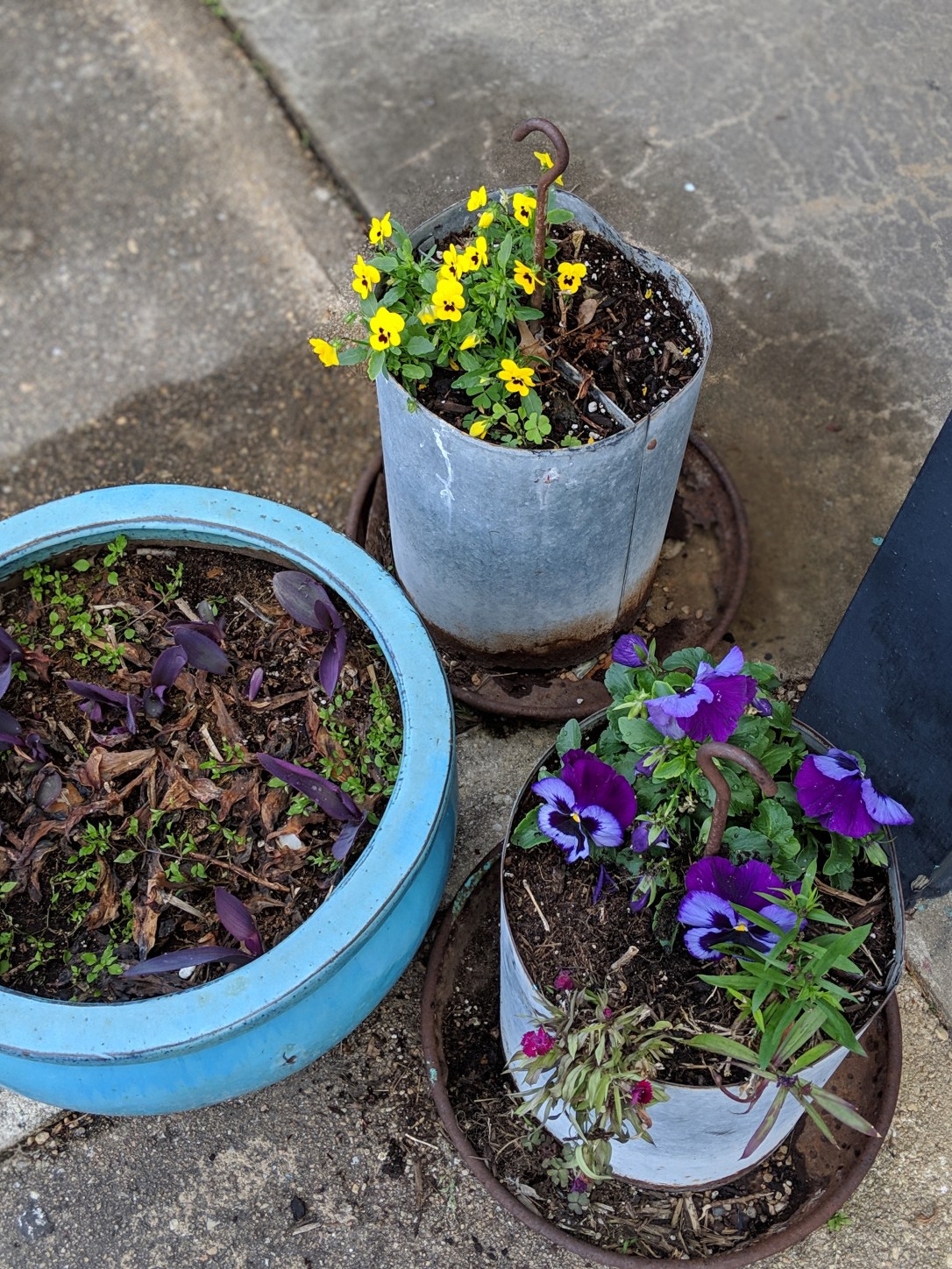 00100lPORTRAIT_00100_BURST20190319103045113_COVER