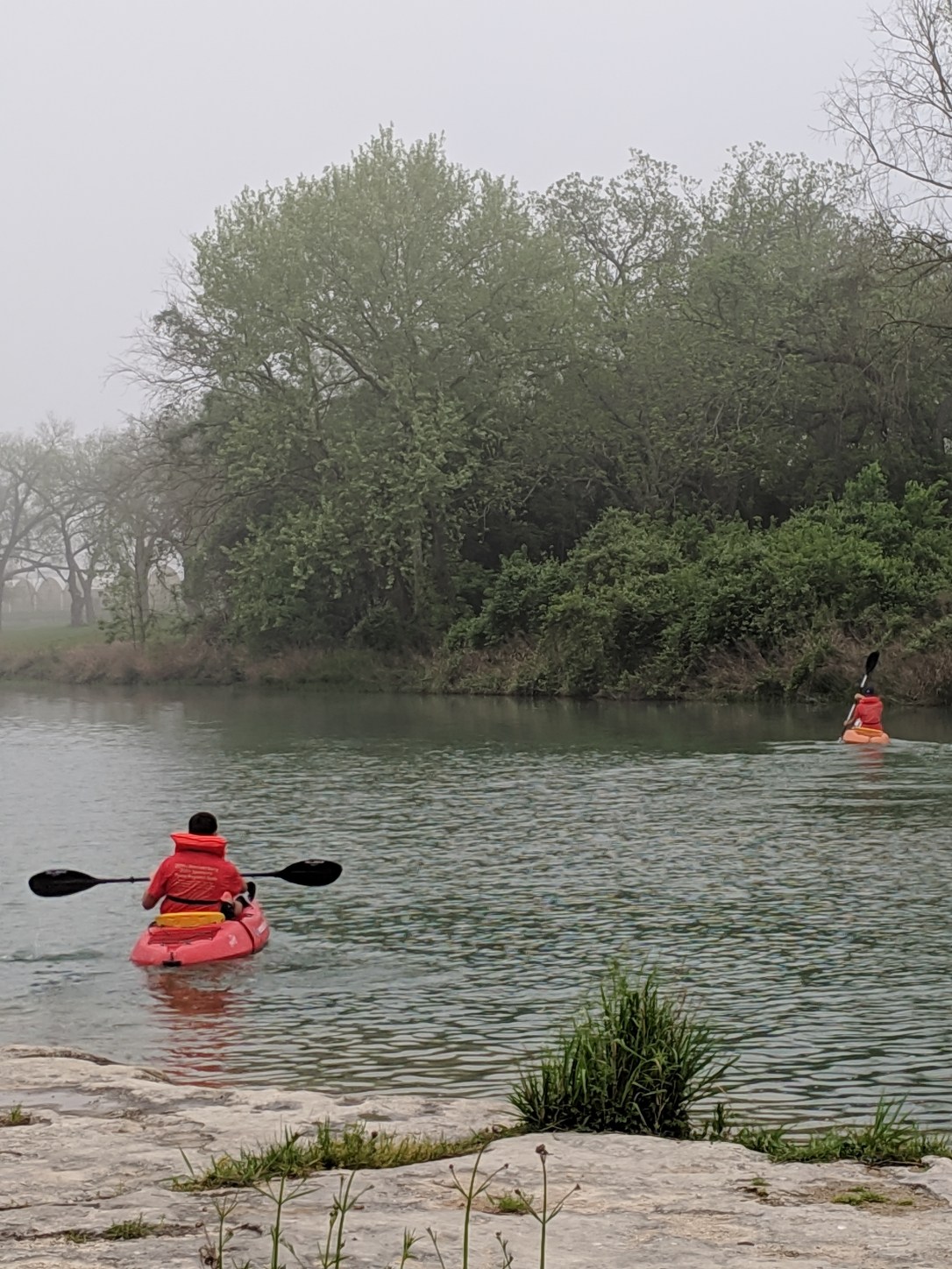 MVIMG_20190413_092404