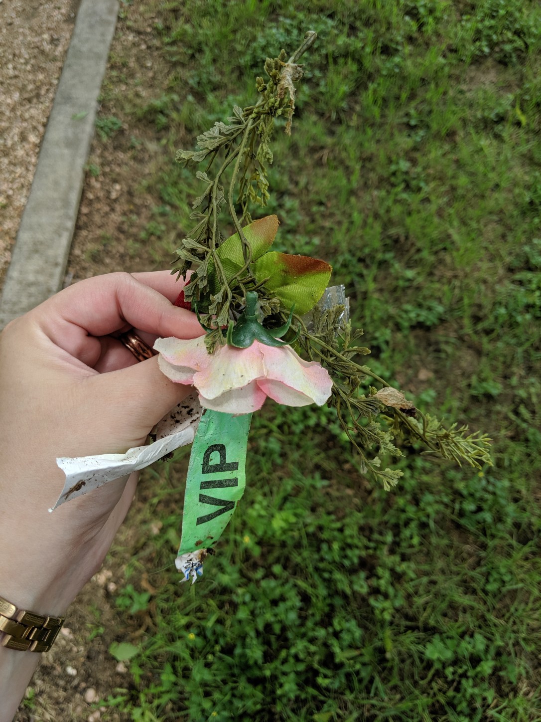 IMG_20190606_124513 (1)