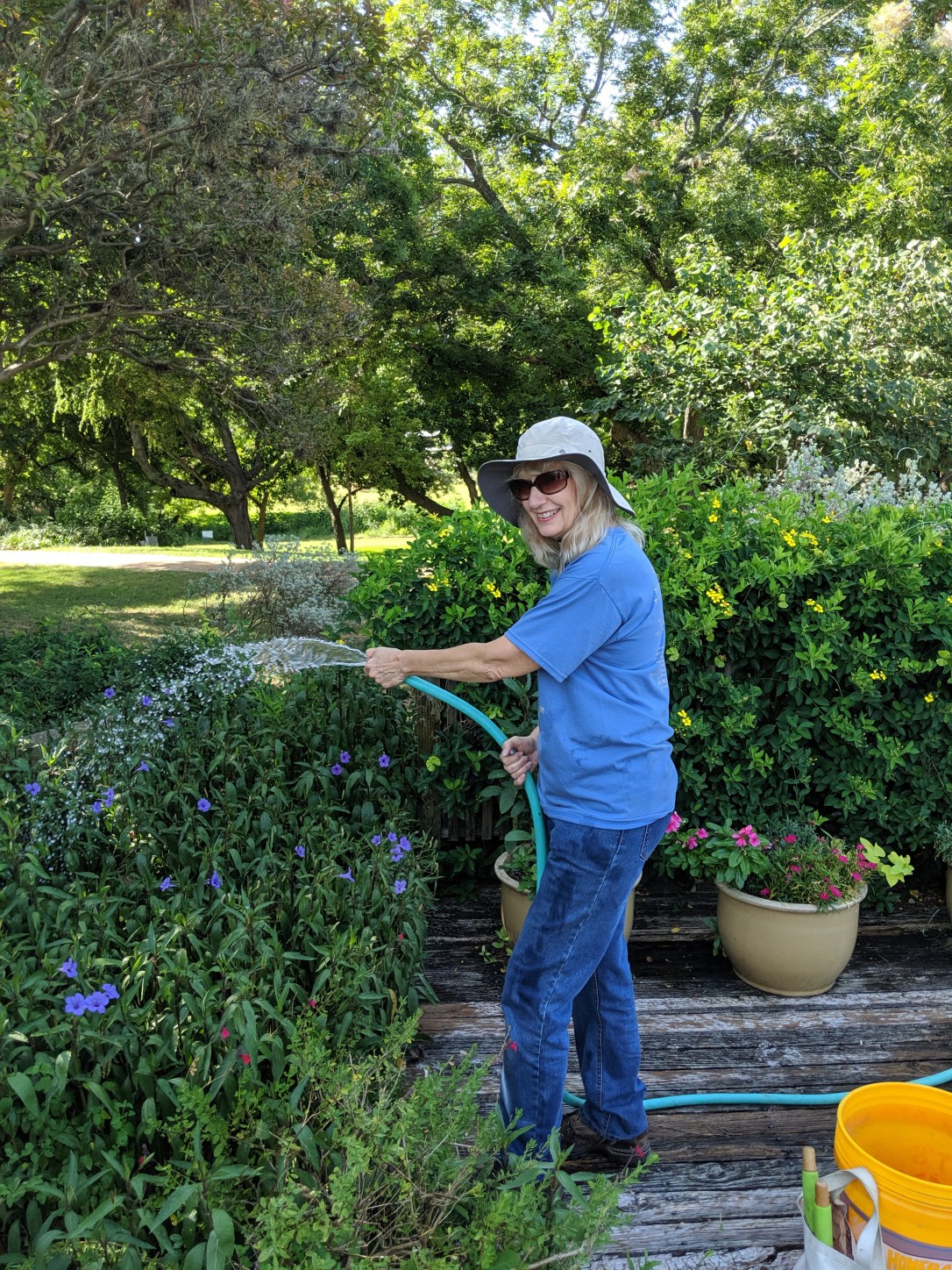 MVIMG_20190730_100839