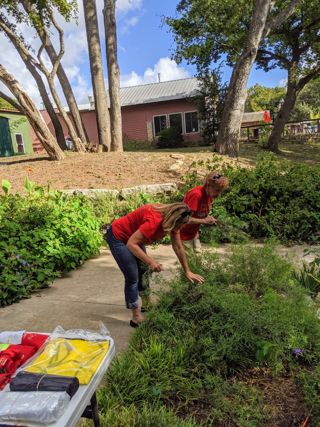 MVIMG_20190928_102702