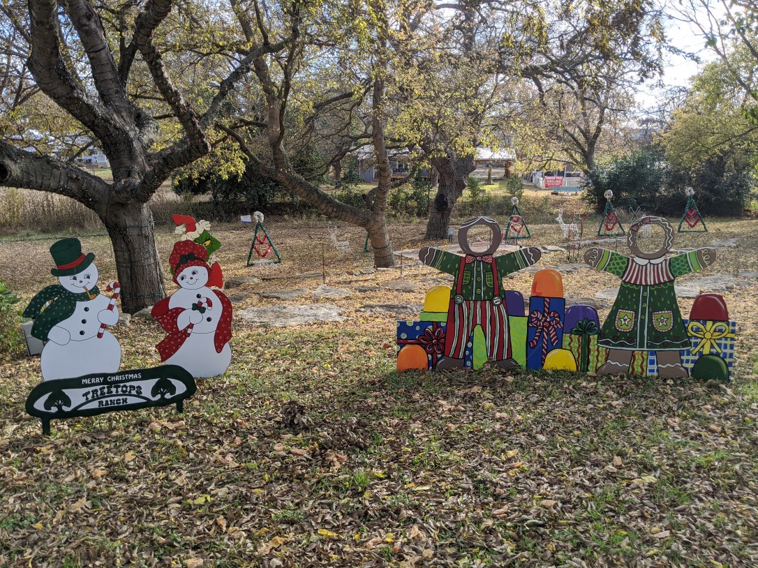 IMG_20191120_153303 (1)