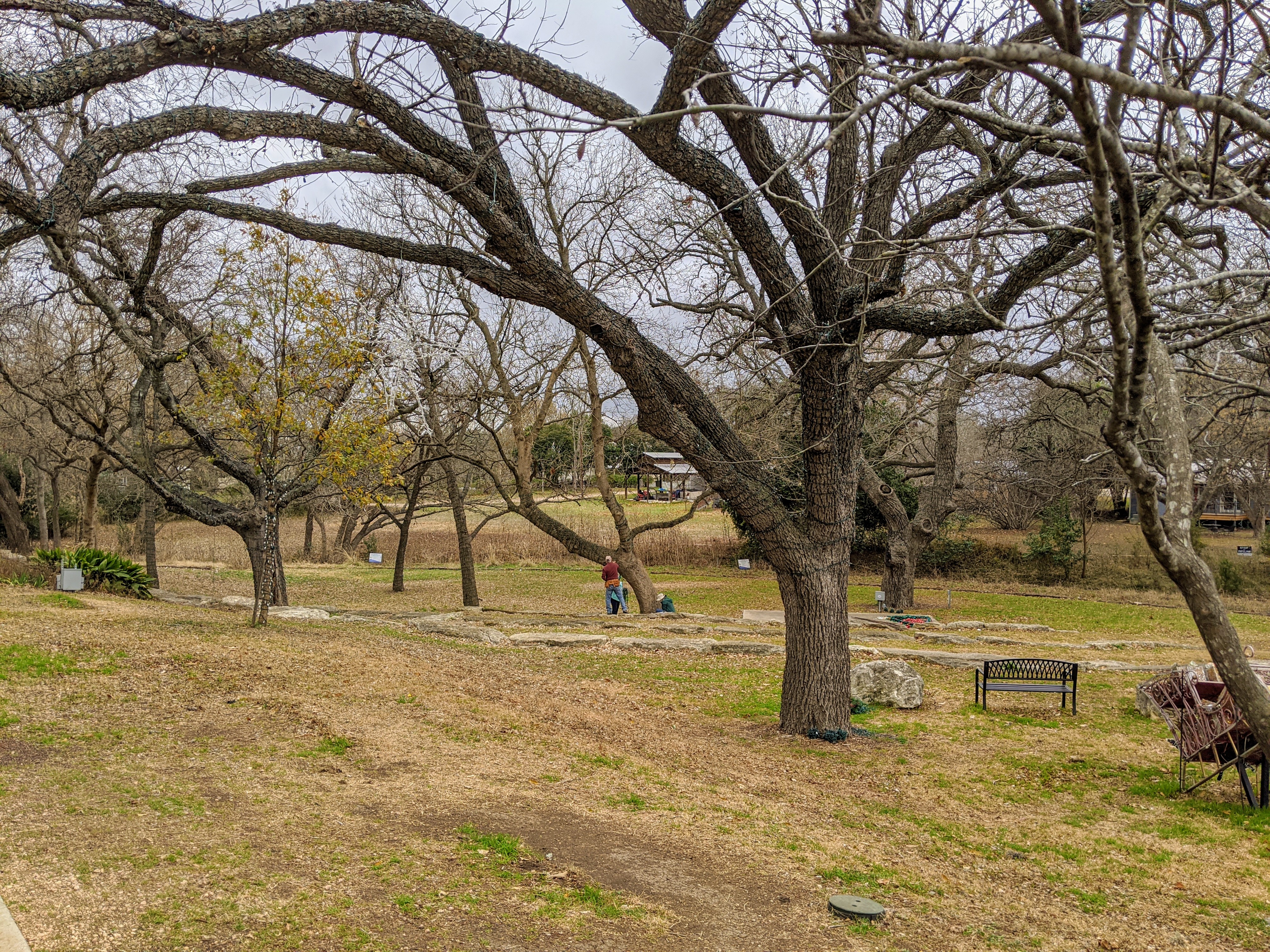 IMG_20200109_105221 (1)