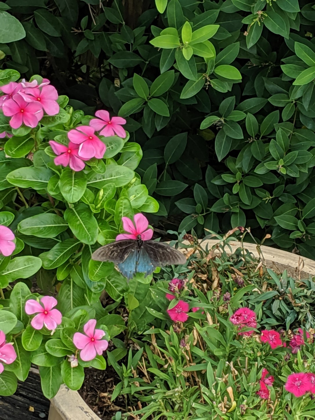 MVIMG_20190822_104157