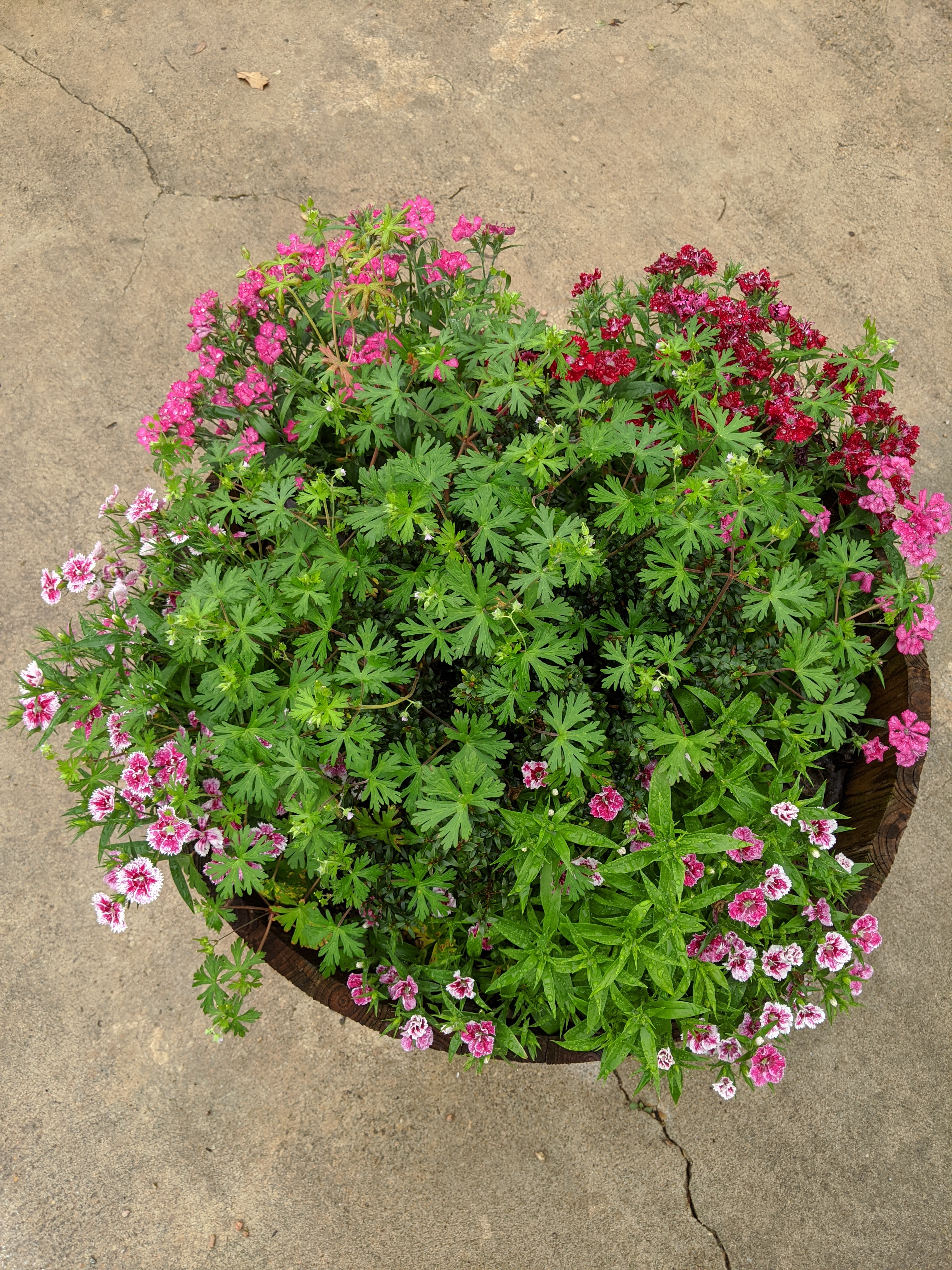 IMG_20200316_090804 (1)