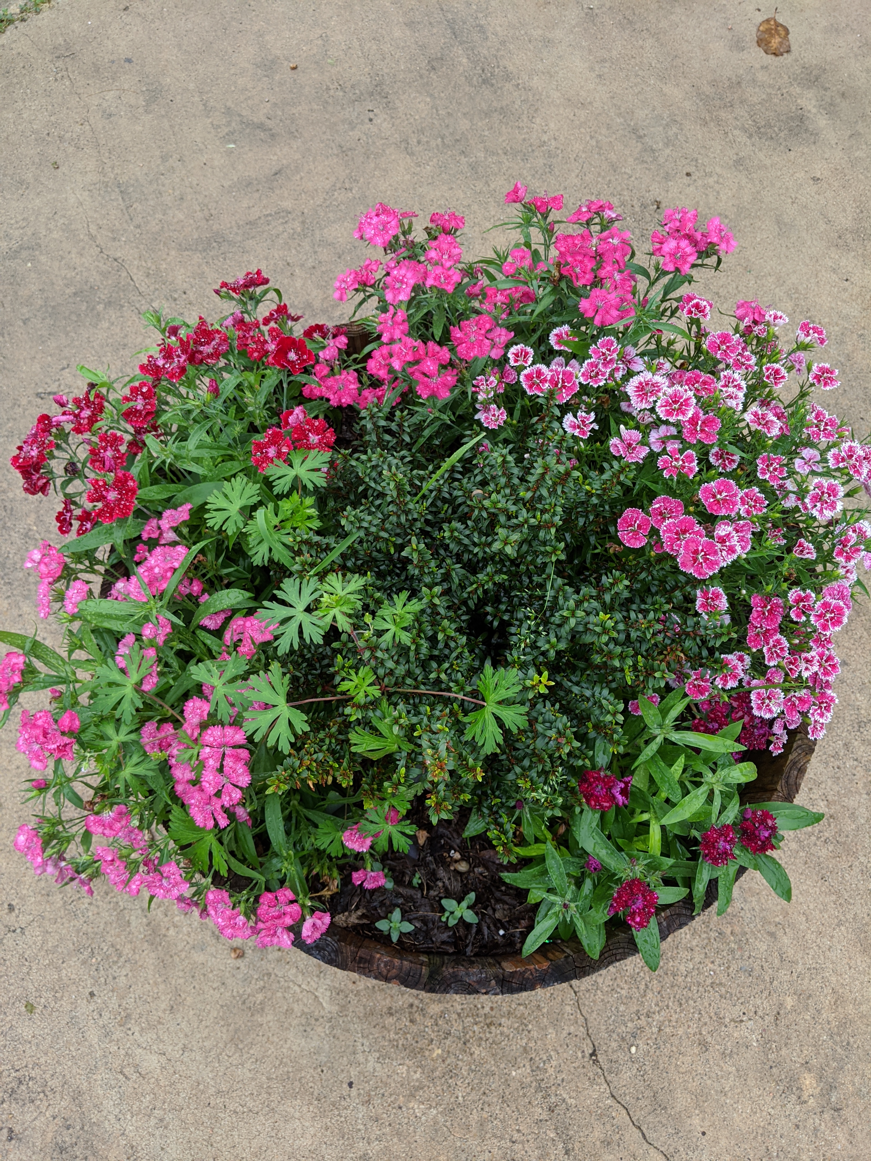 IMG_20200316_090815 (2)