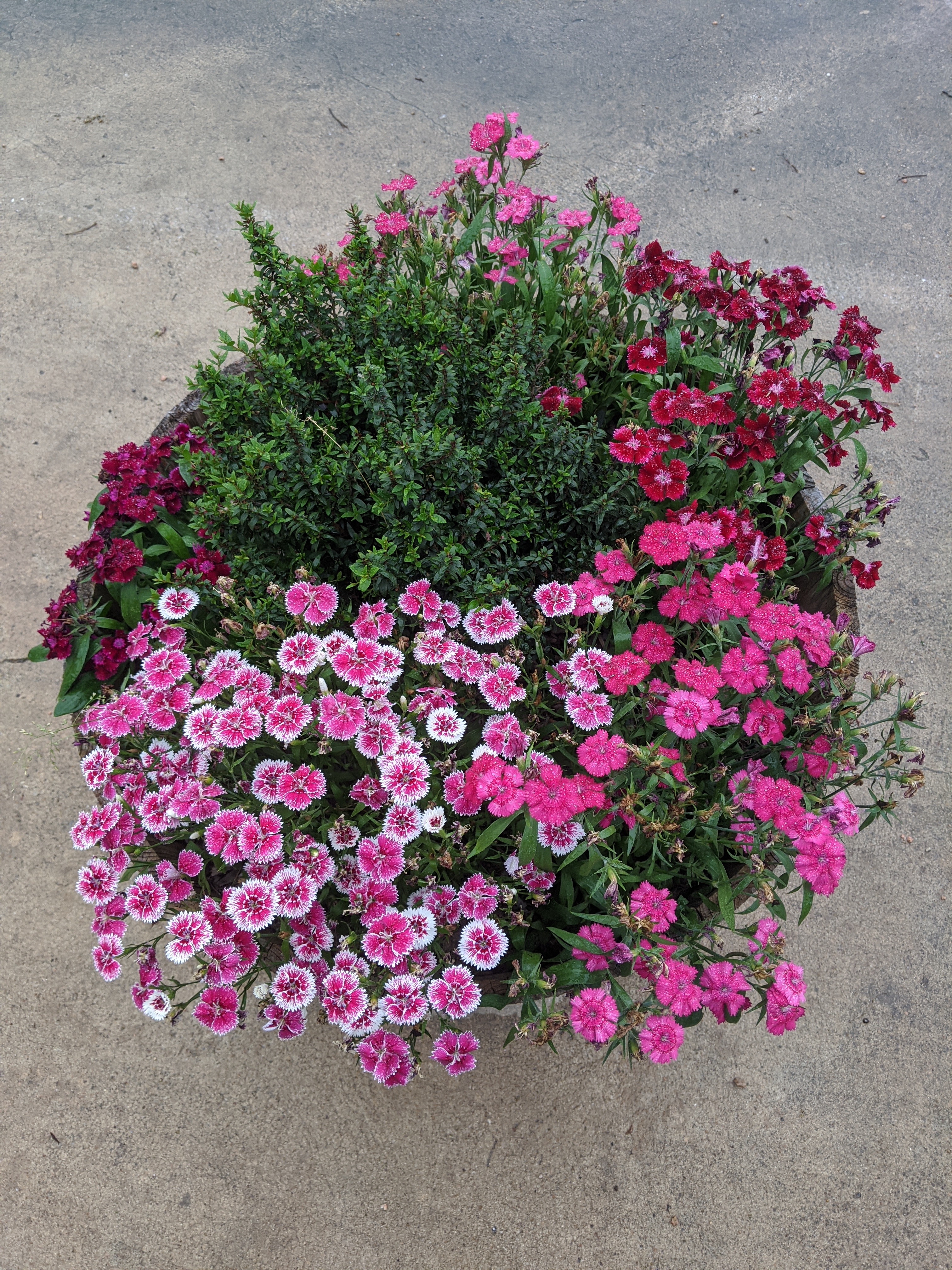 IMG_20200330_105651 (1)