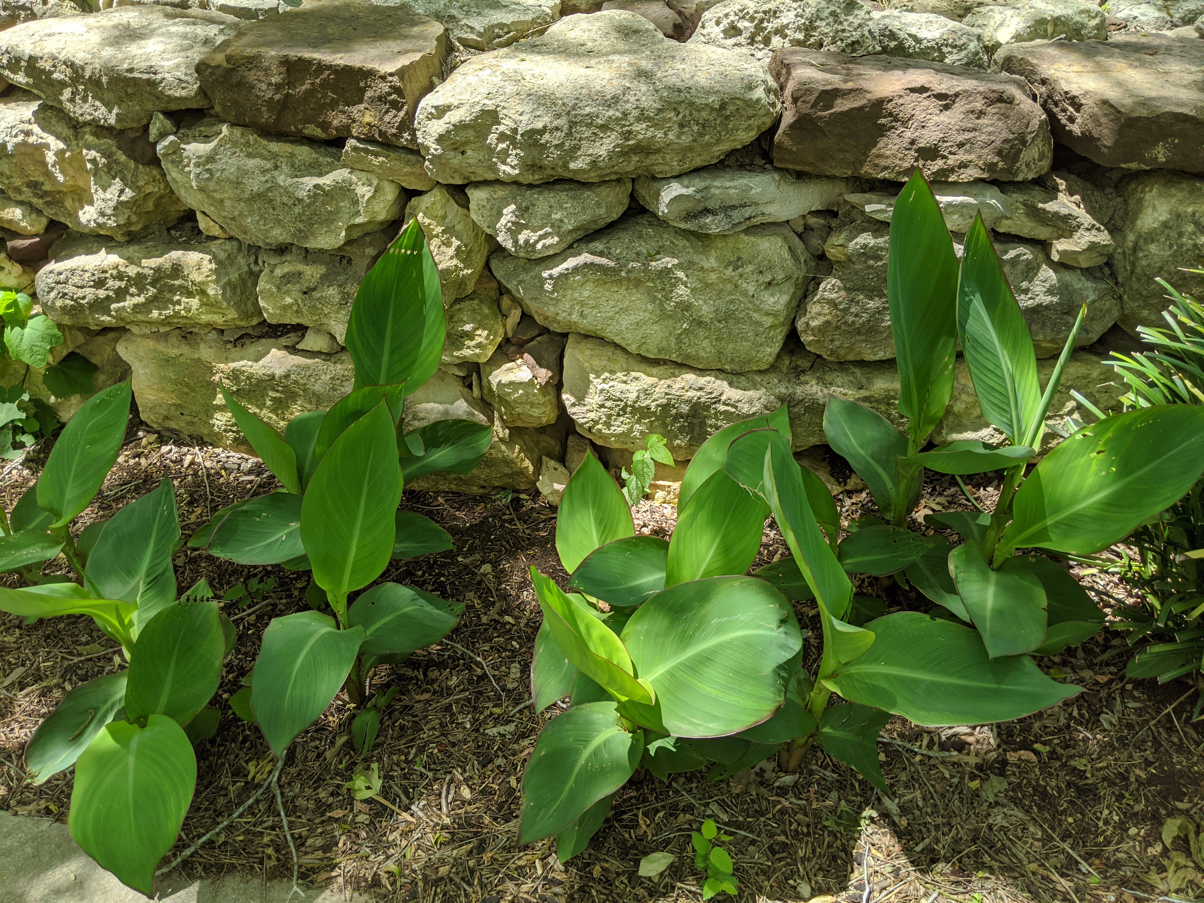 MVIMG_20200501_143849