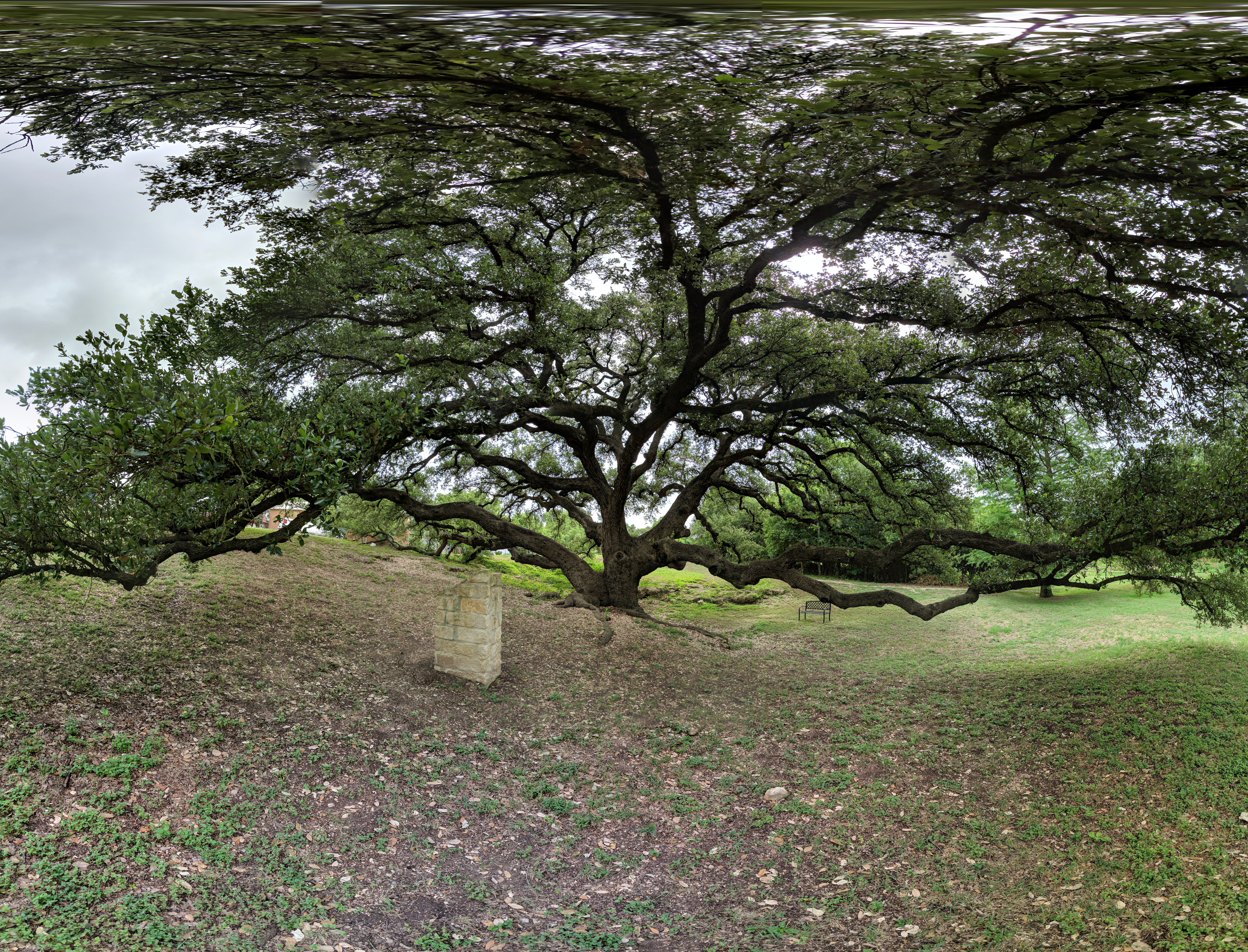 PANO_20200630_103751