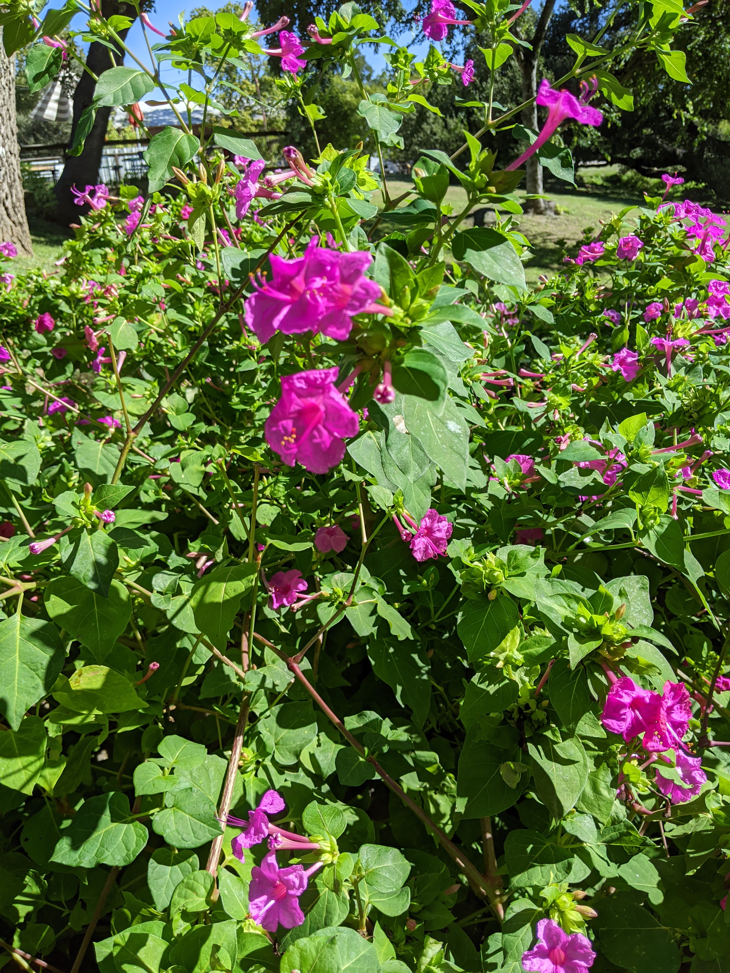 PXL_20200929_161402059