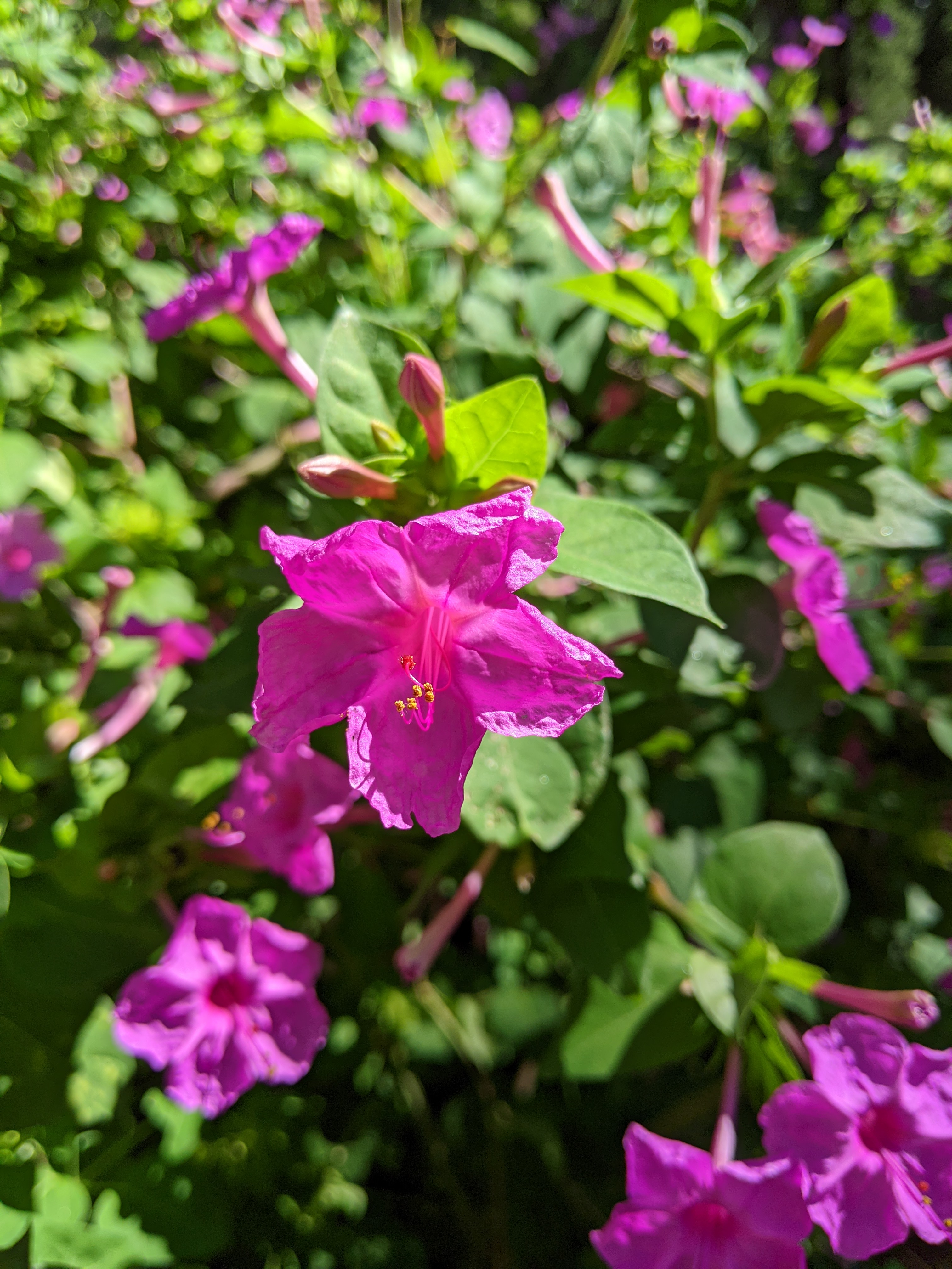 PXL_20200929_161410653