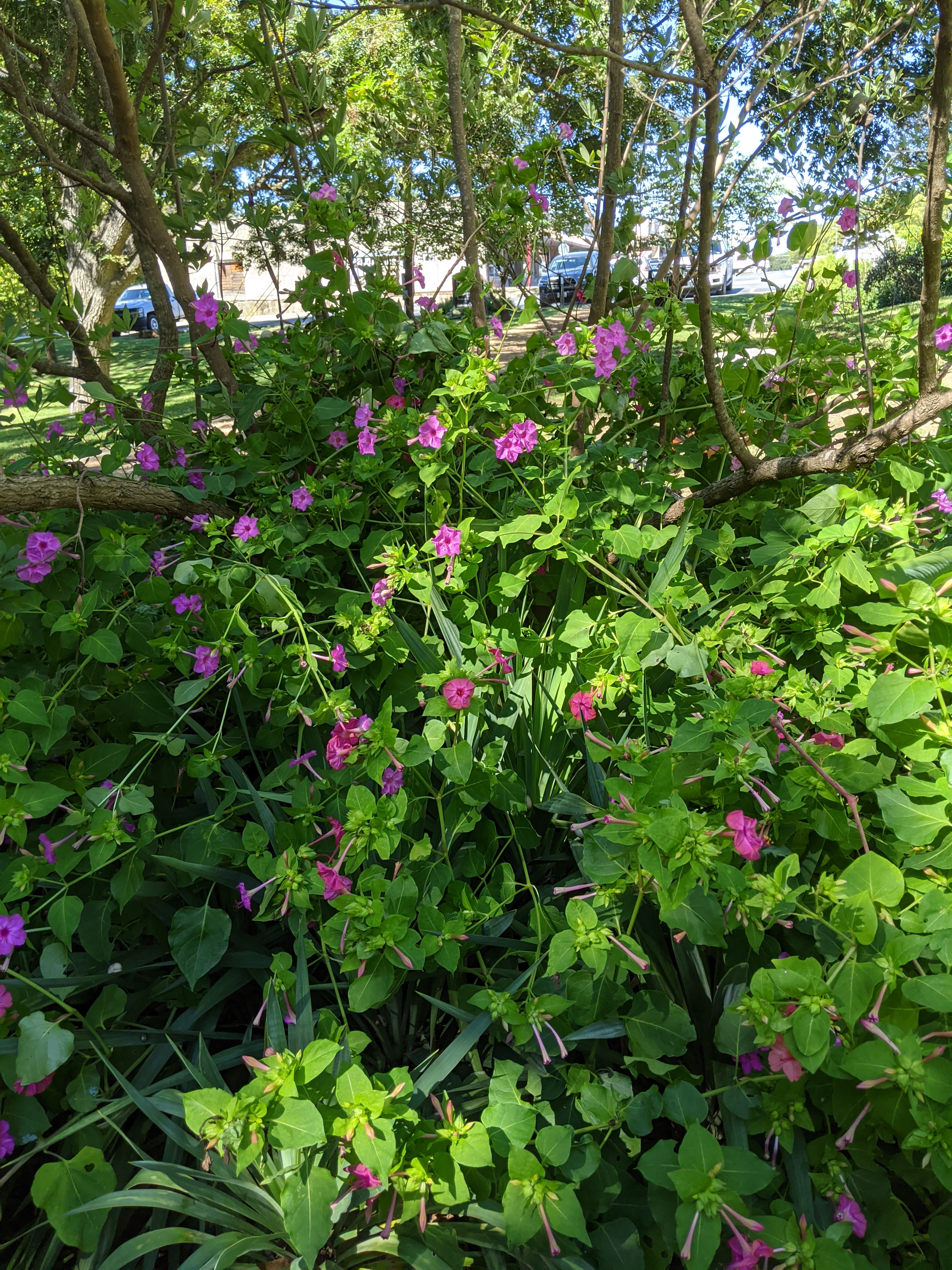 PXL_20200929_161422213