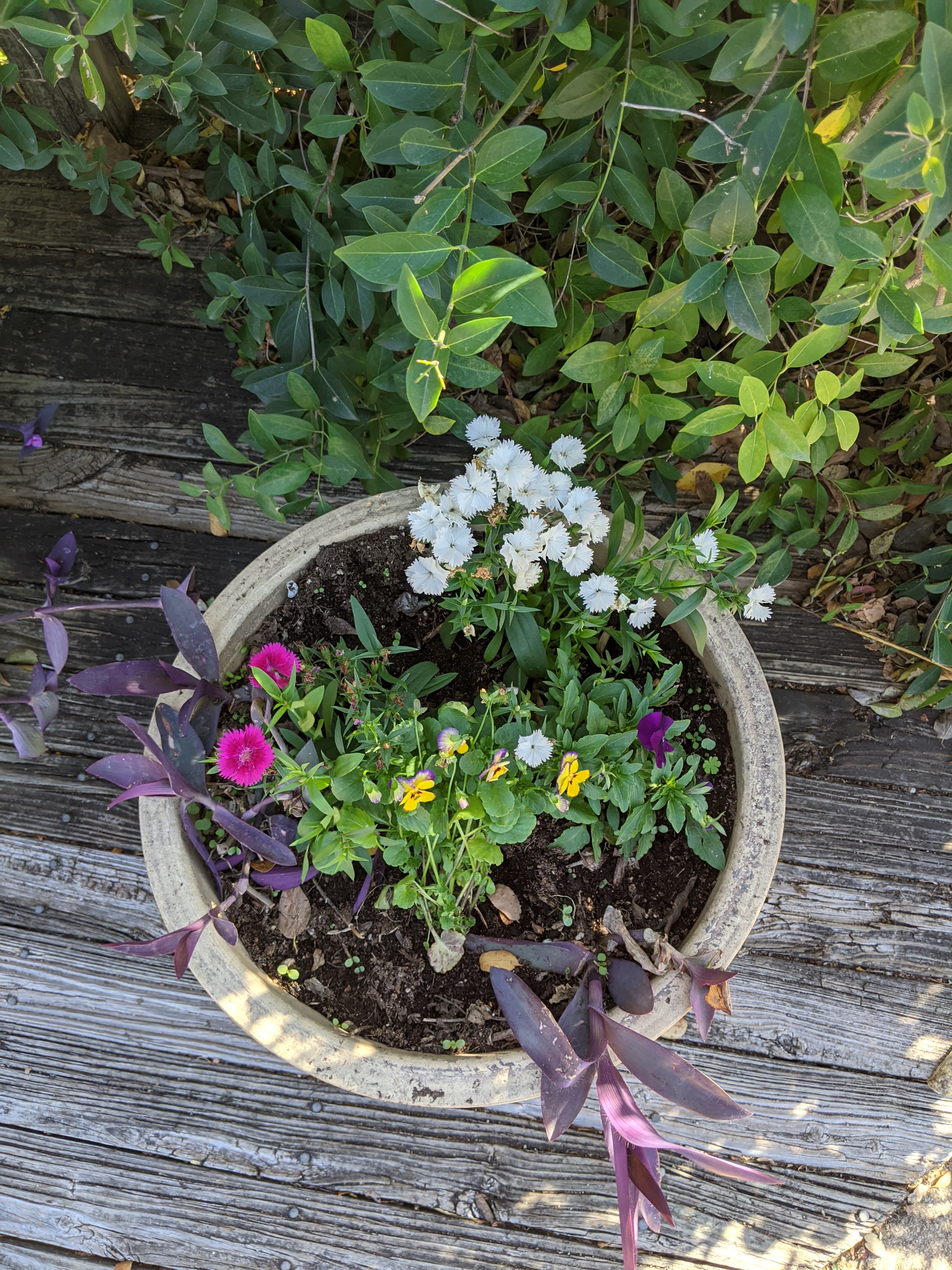 PXL_20201115_193827831