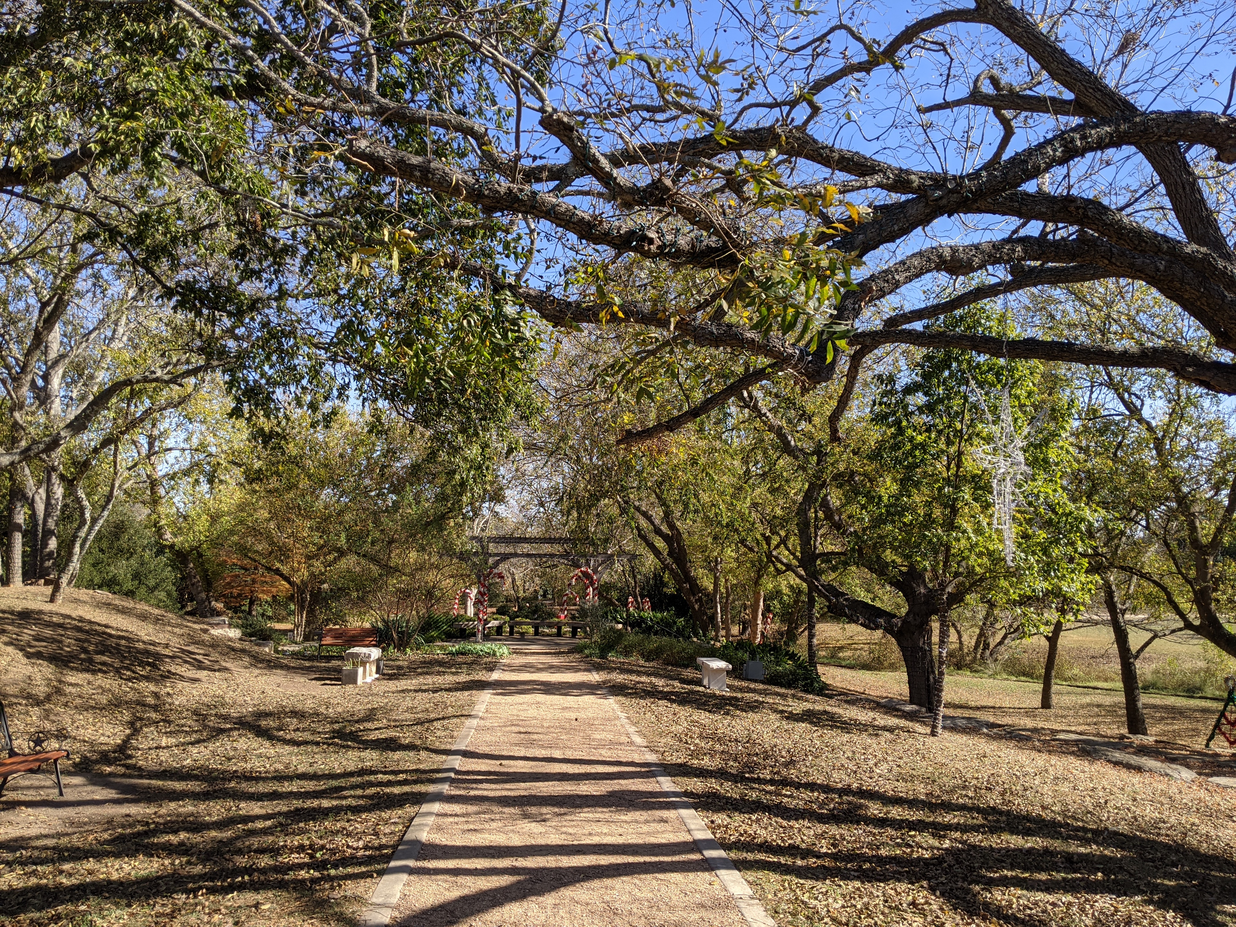 PXL_20201115_193852281