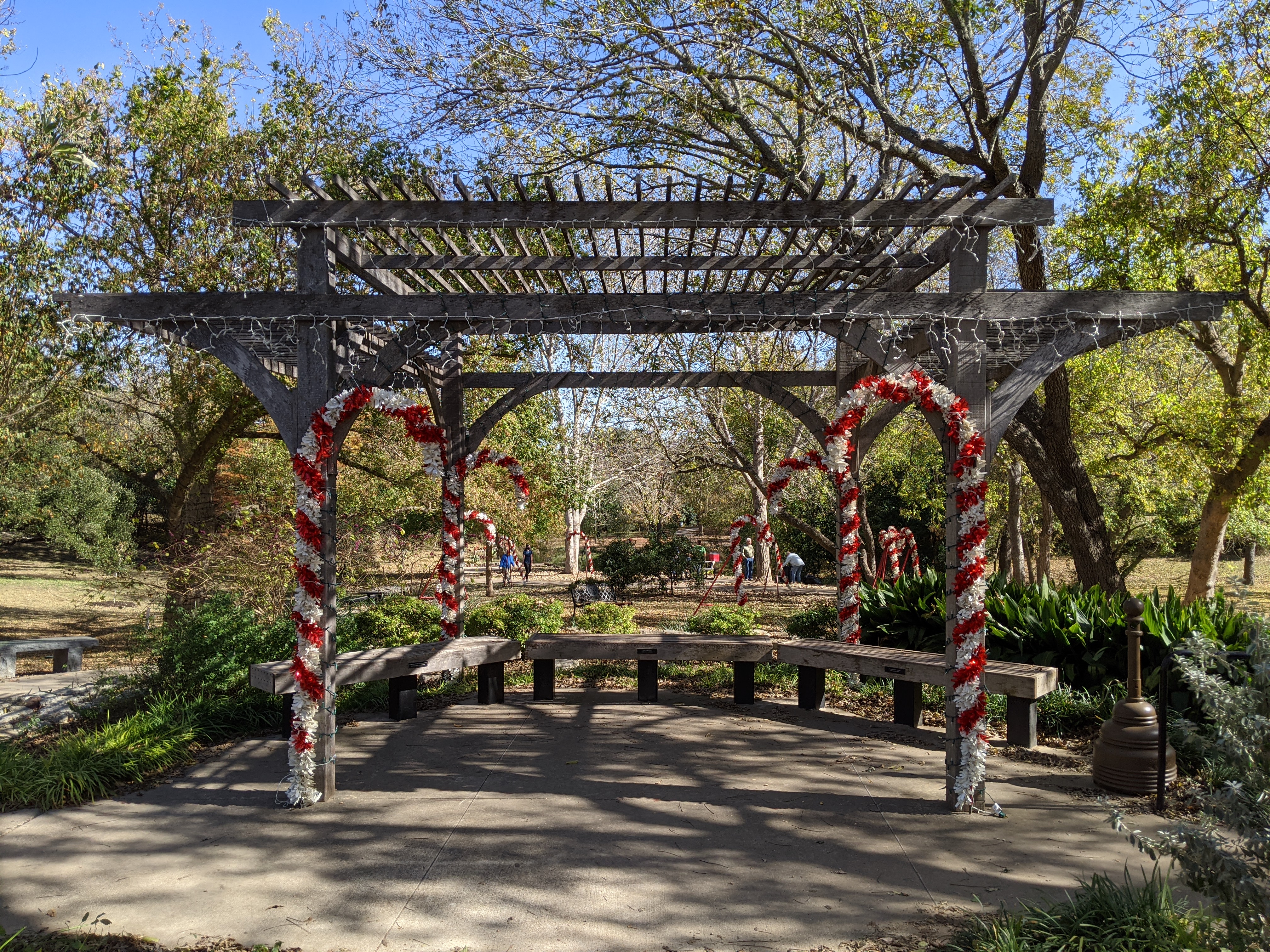 PXL_20201115_193942149