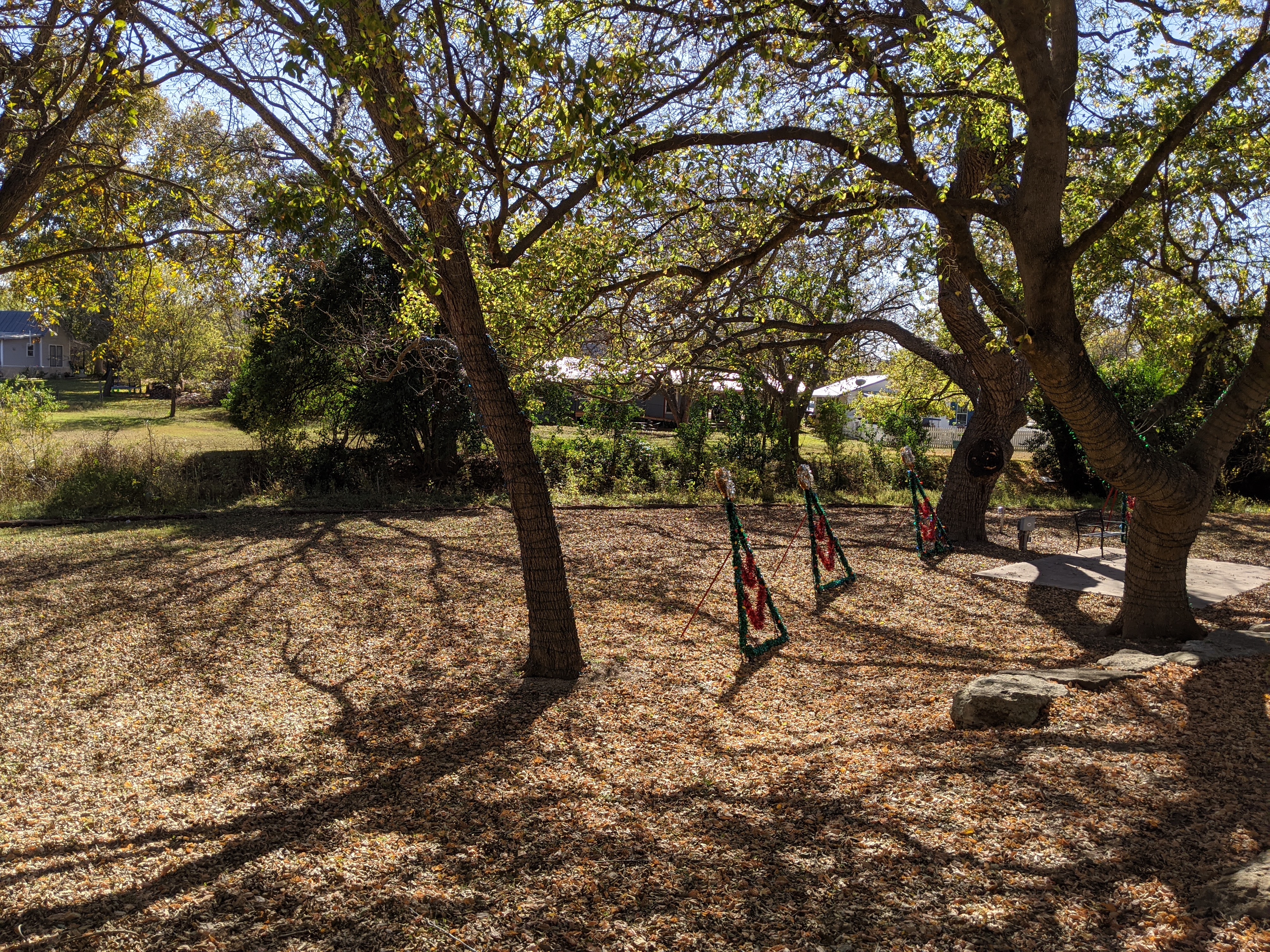 PXL_20201115_193956799