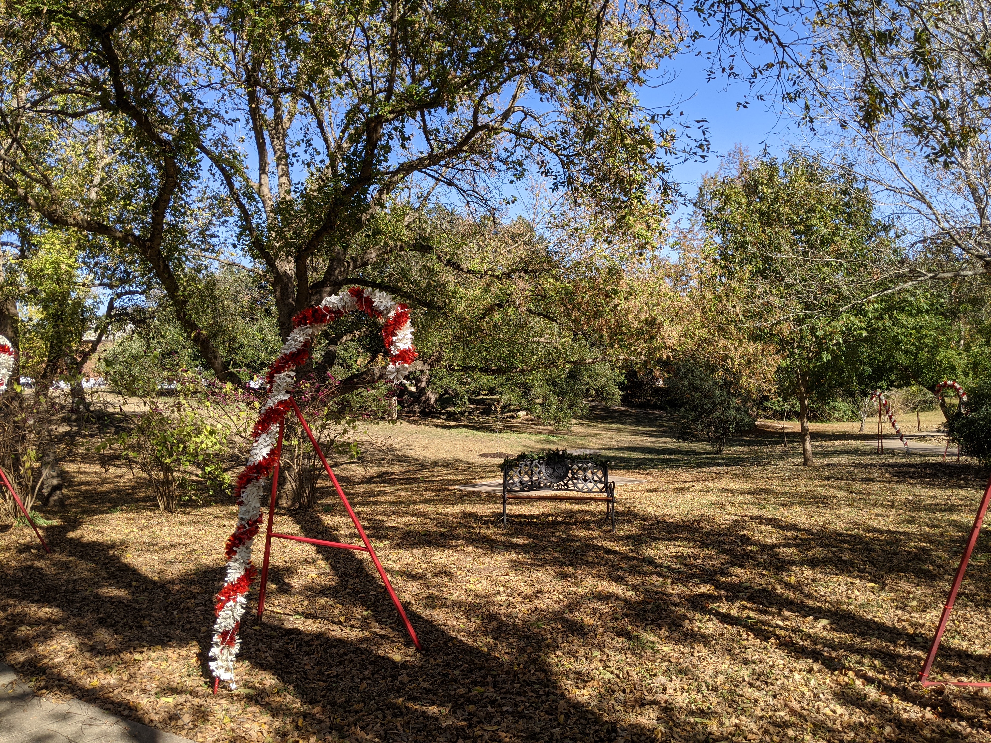 PXL_20201115_194008473