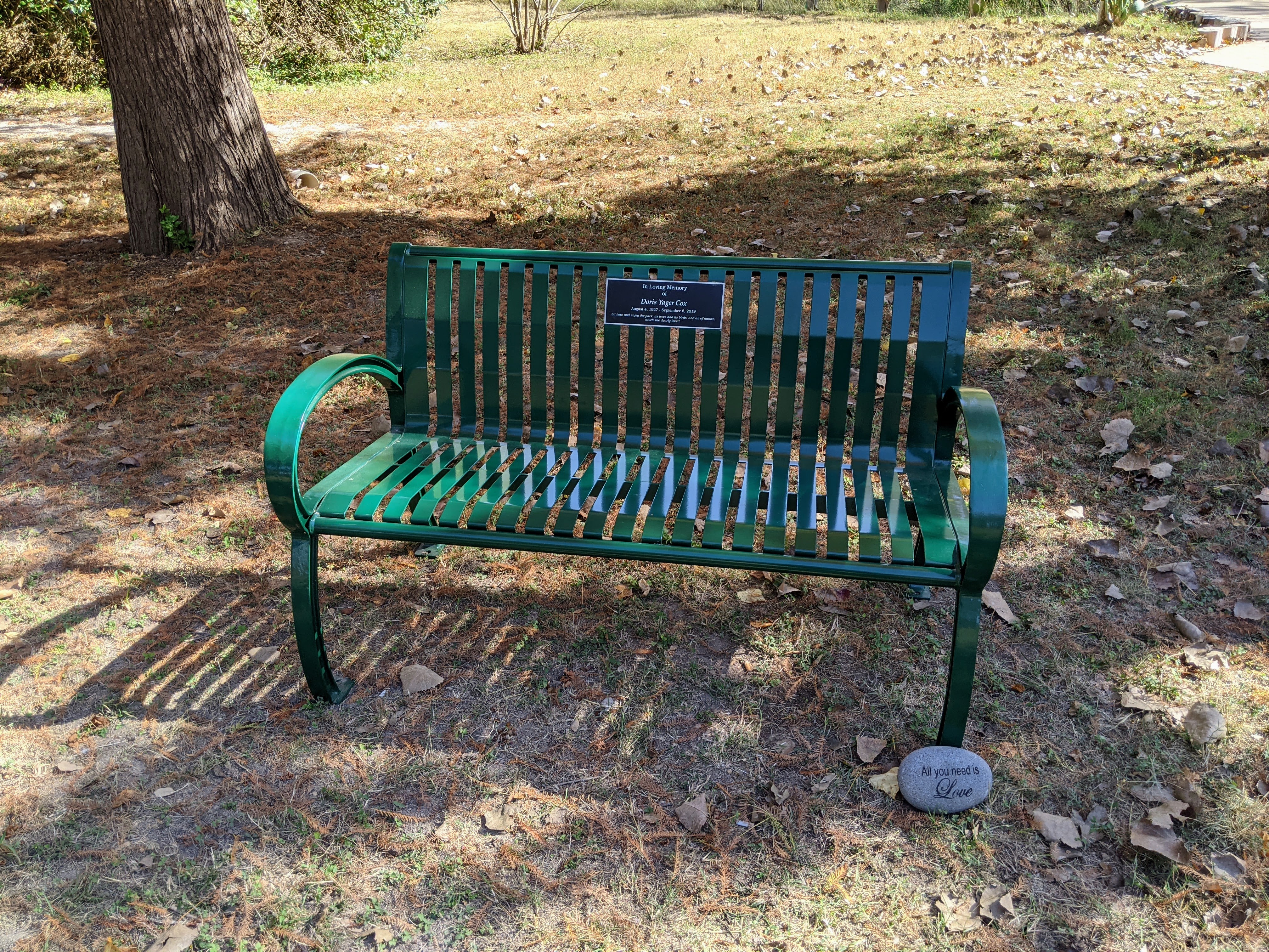 PXL_20201115_194310282