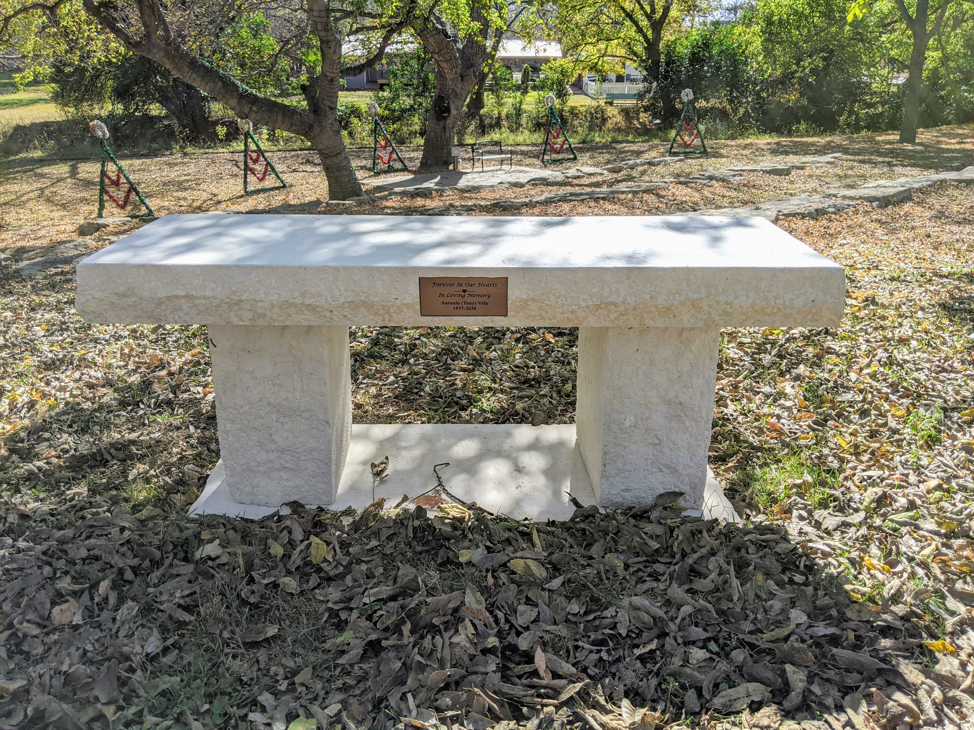 PXL_20201115_194423643