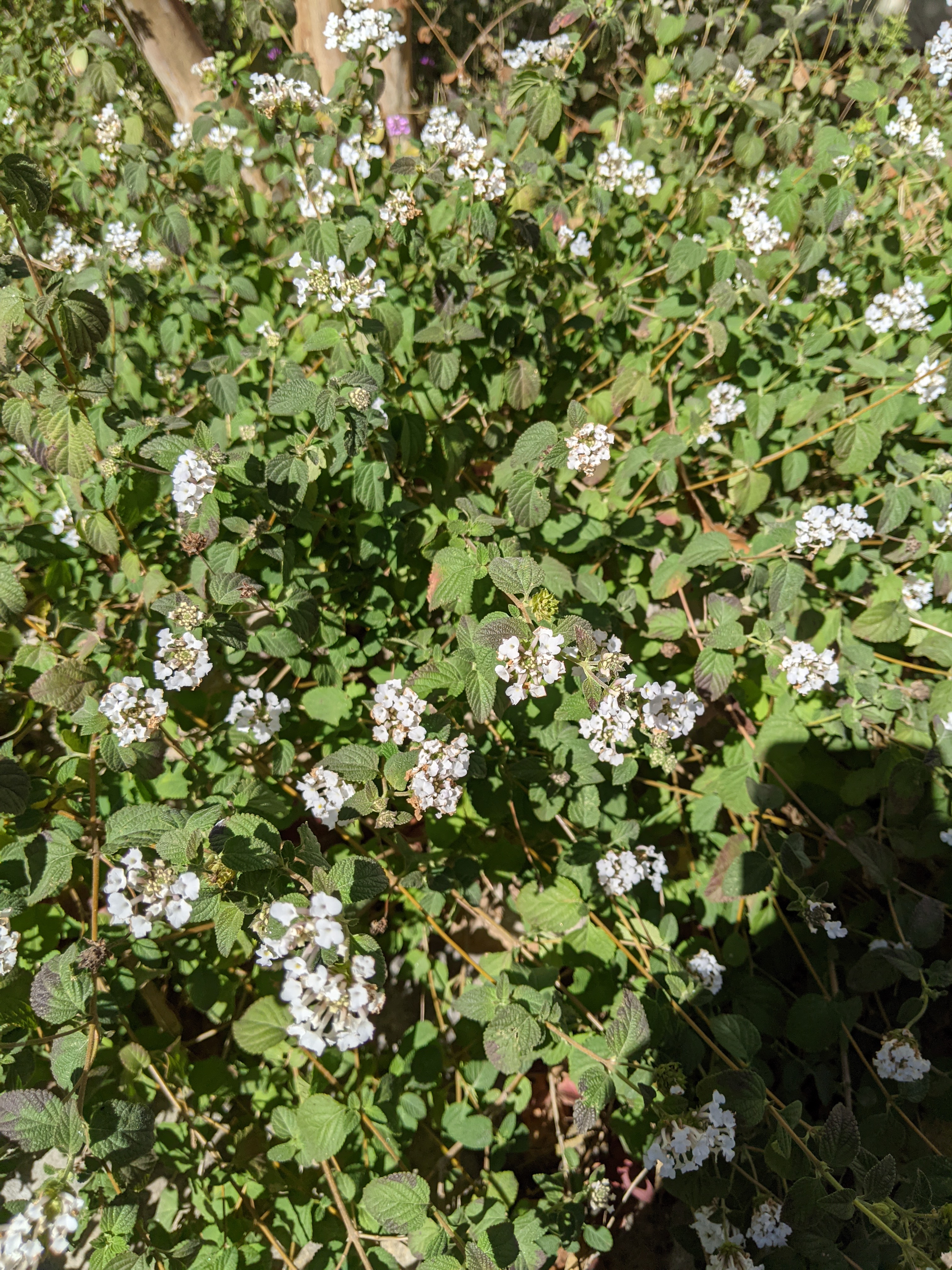 PXL_20201120_191458060