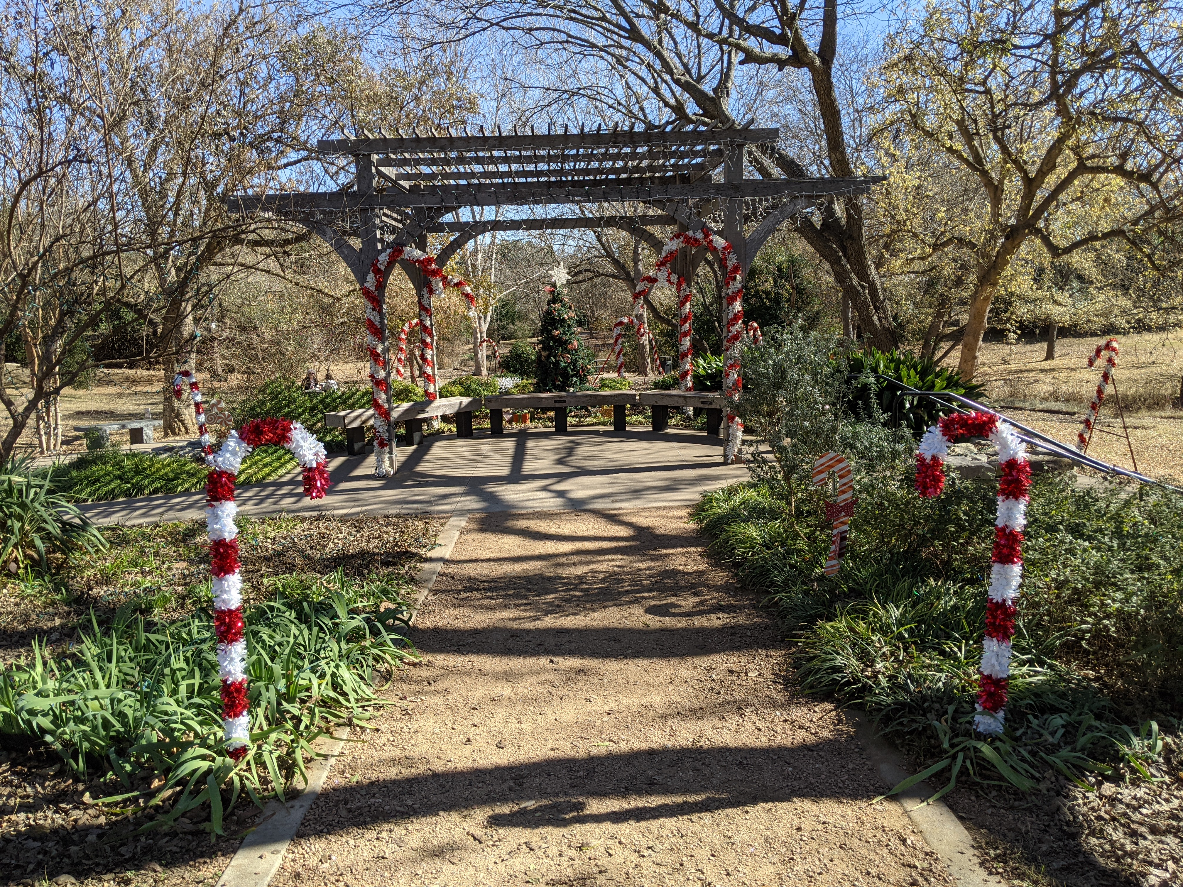 PXL_20201208_184840038