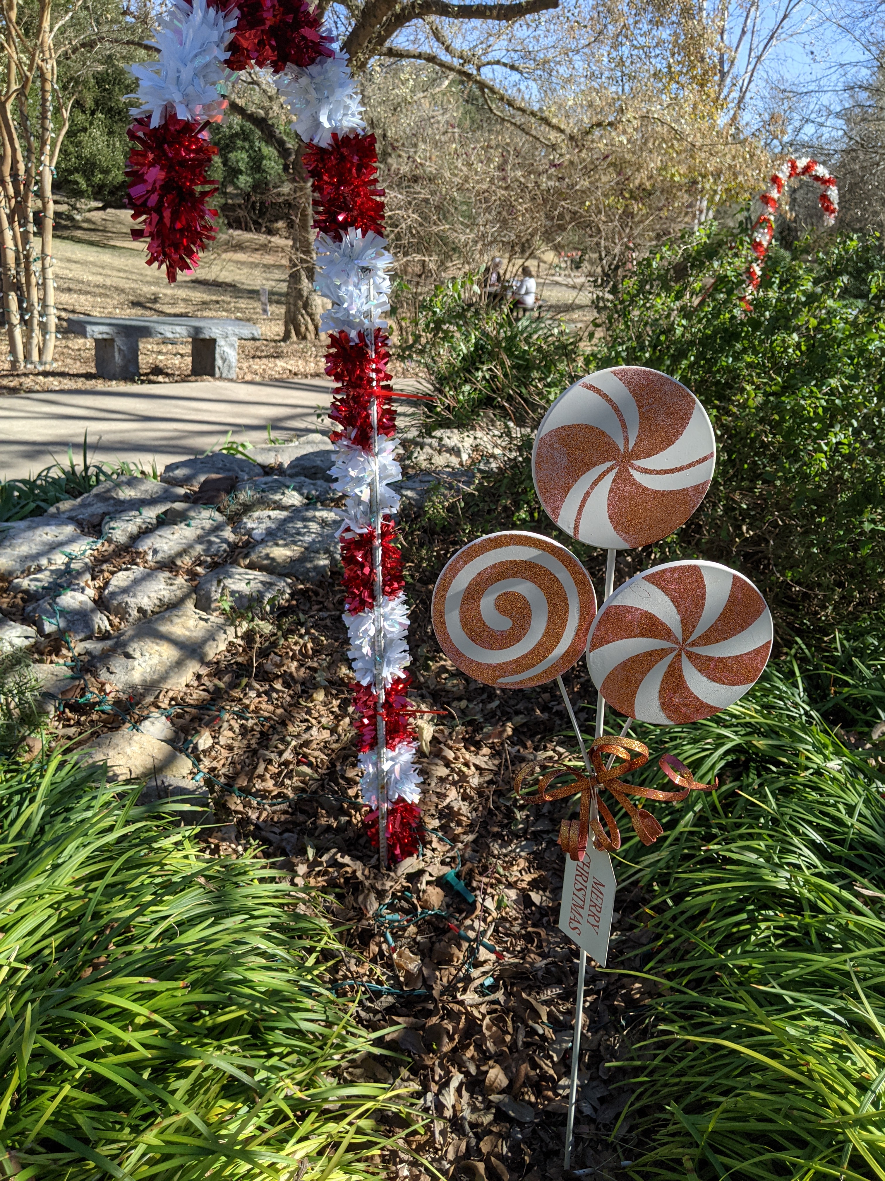 PXL_20201208_185135627