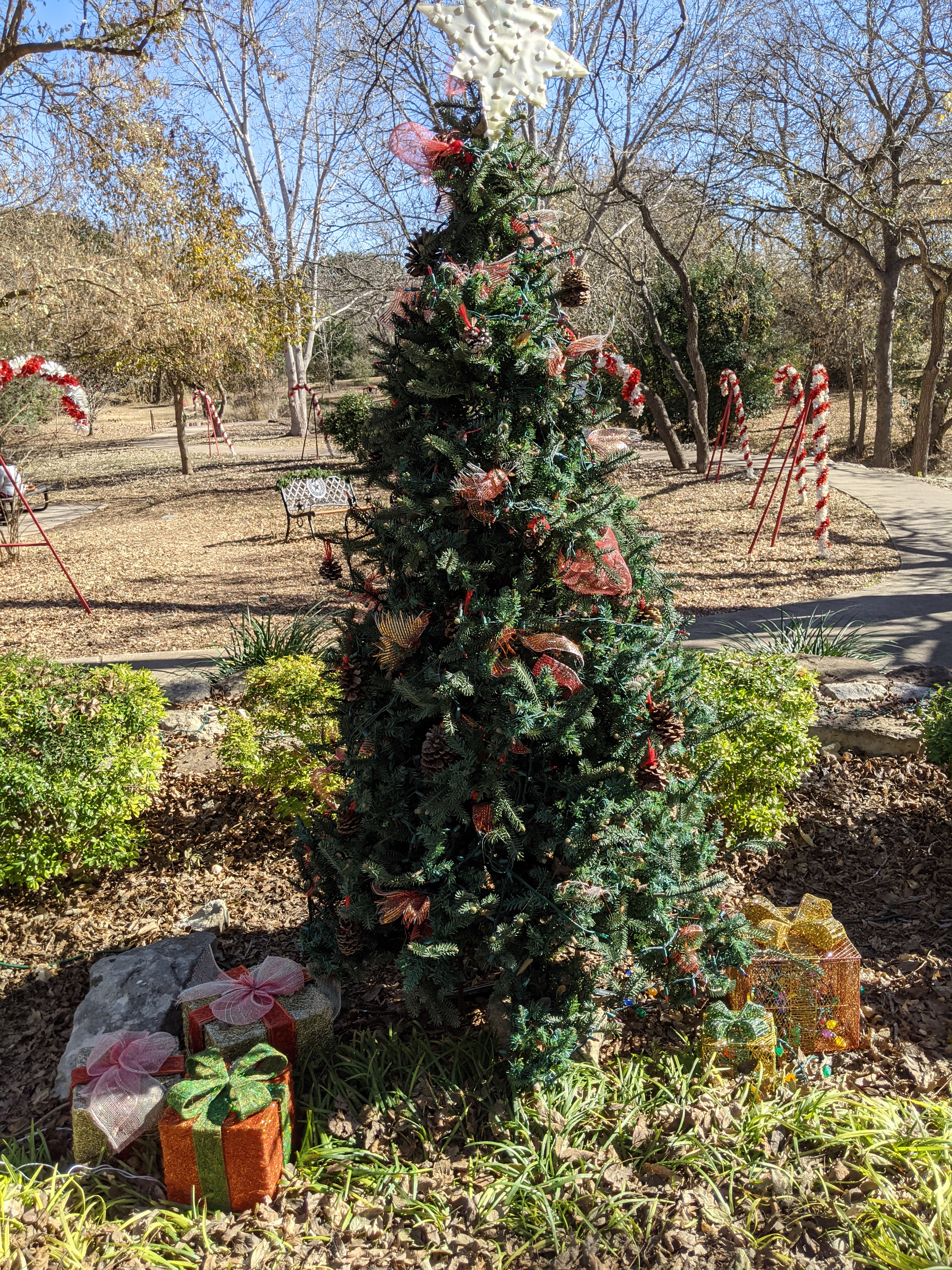 PXL_20201208_185144228