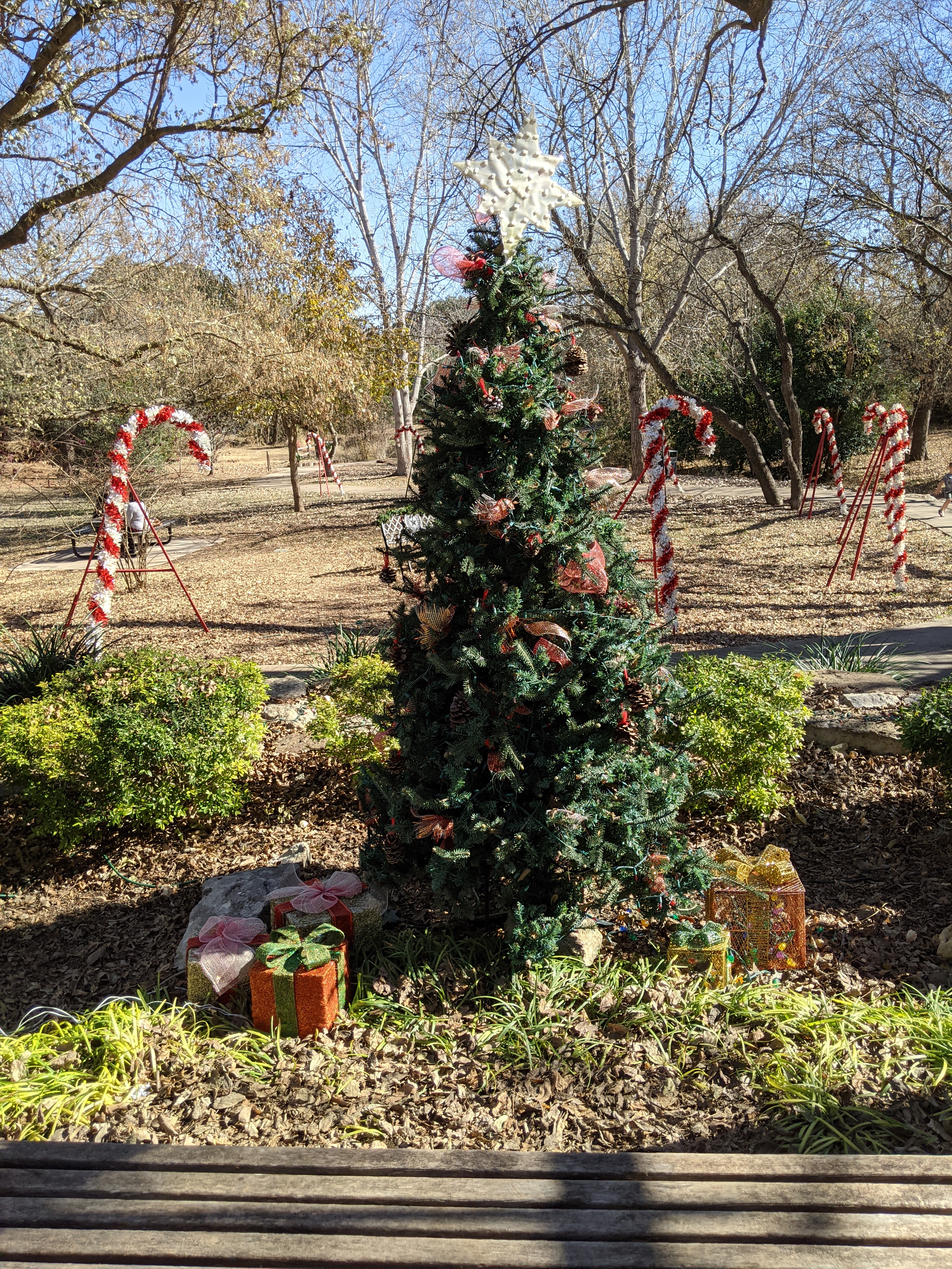 PXL_20201208_185151647