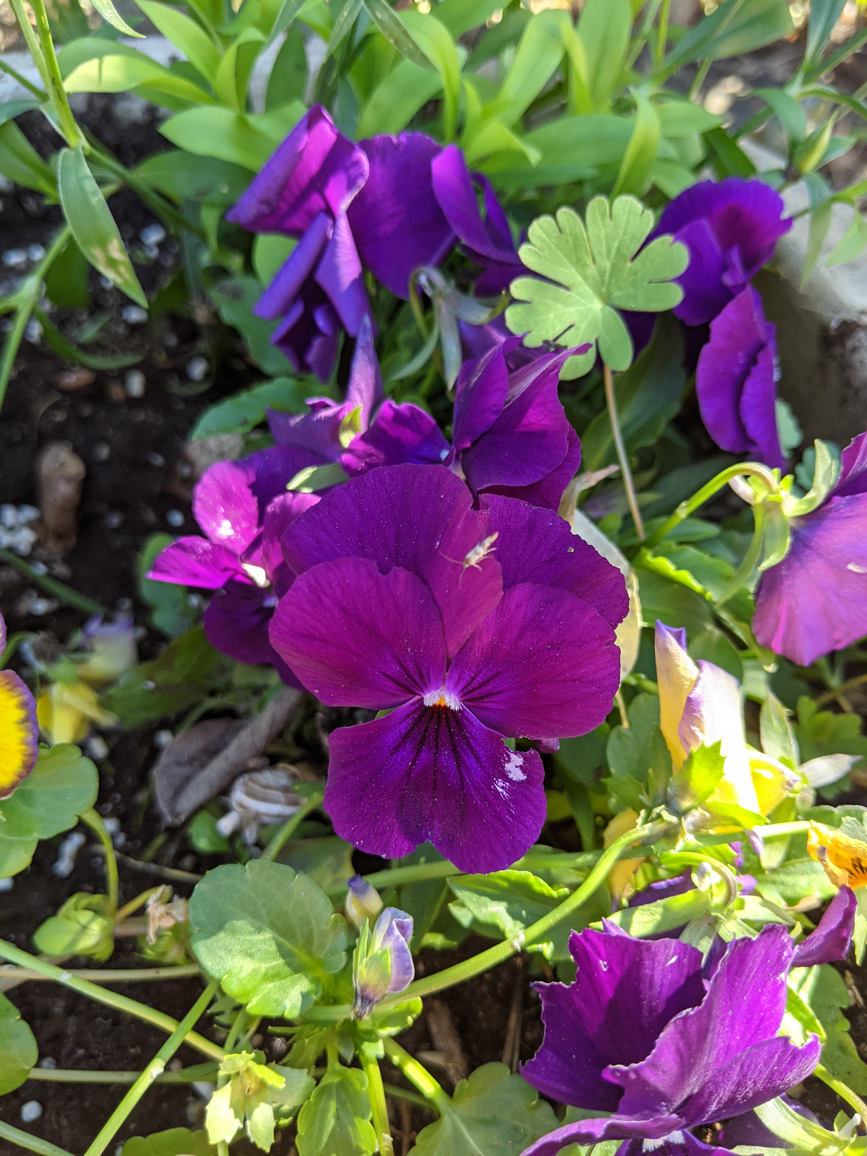 PXL_20201208_185316936