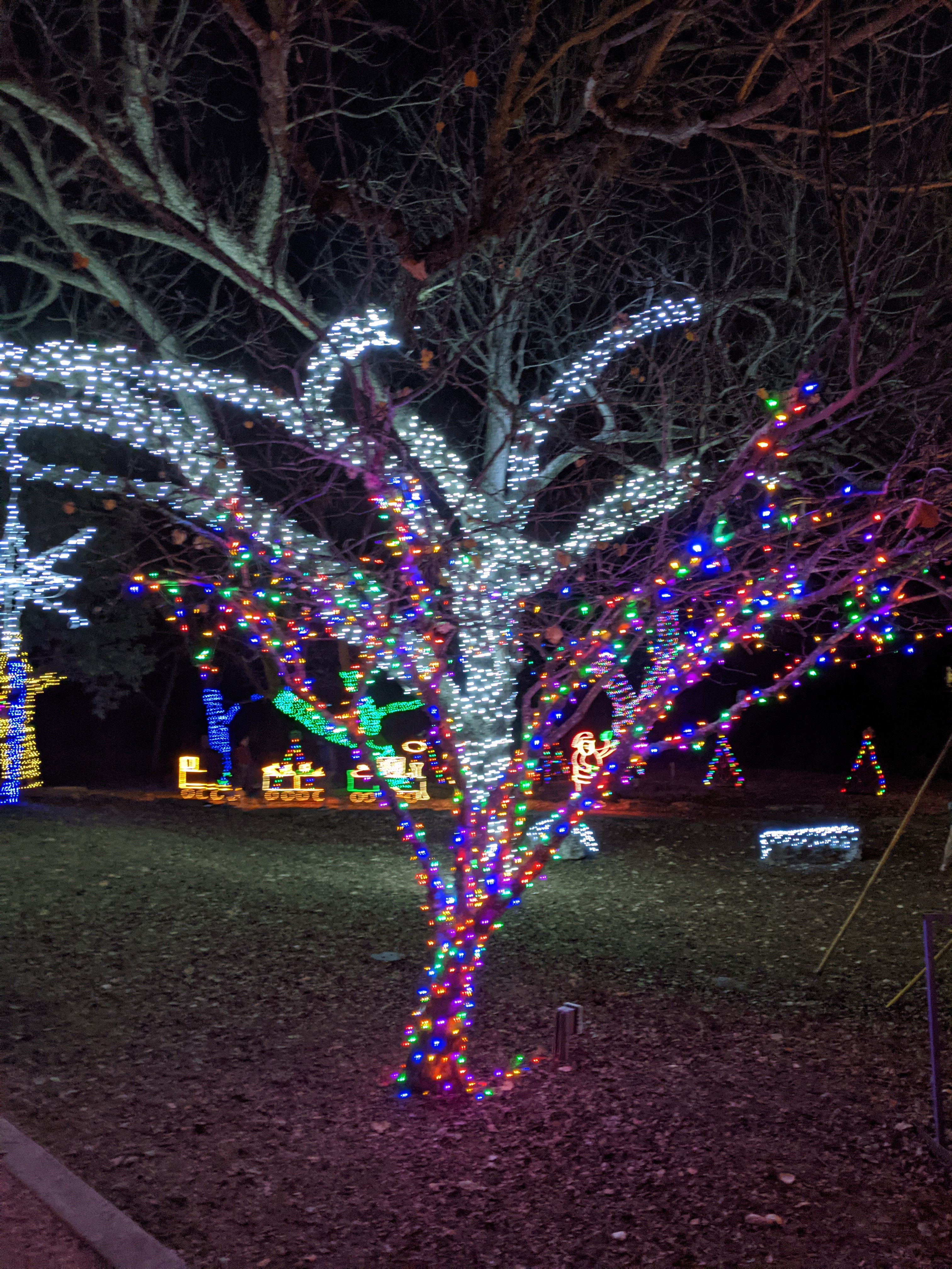 PXL_20201213_001514536.MP