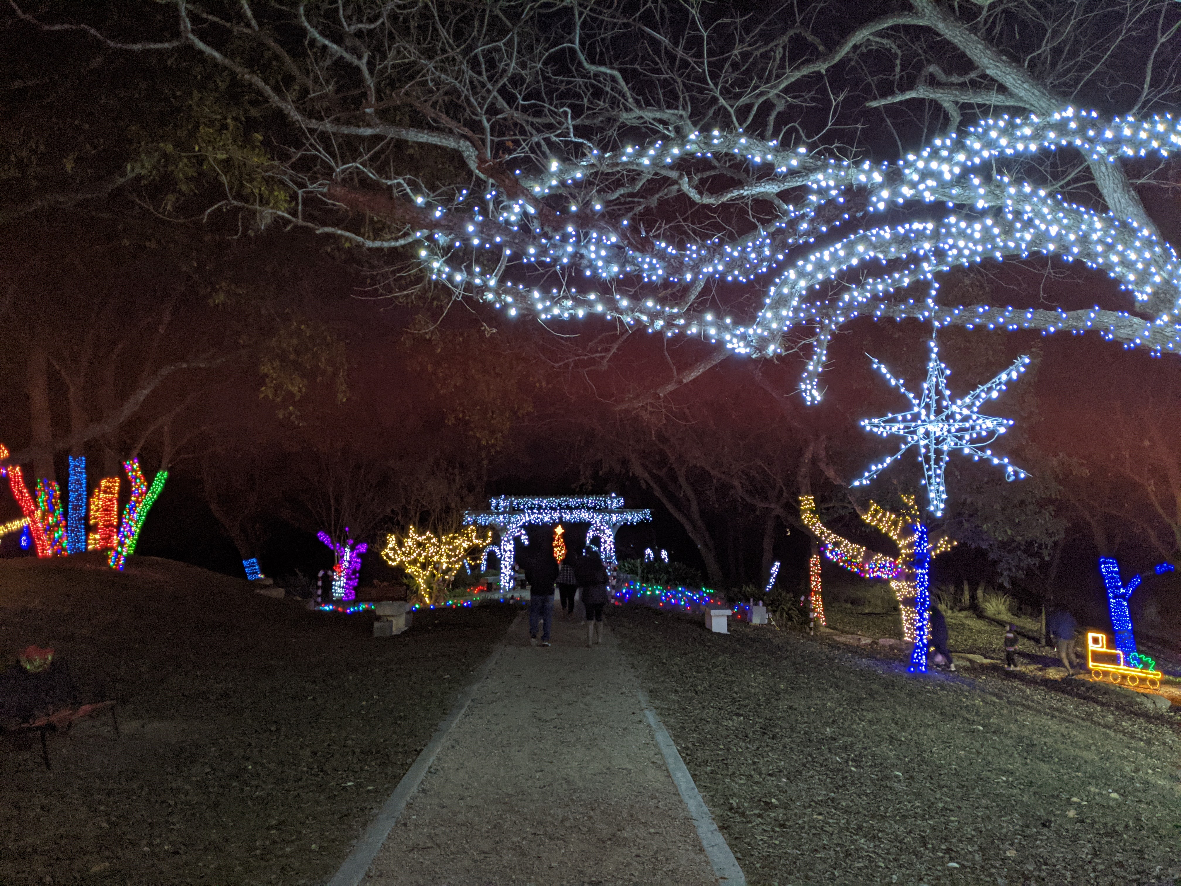 PXL_20201213_001520314