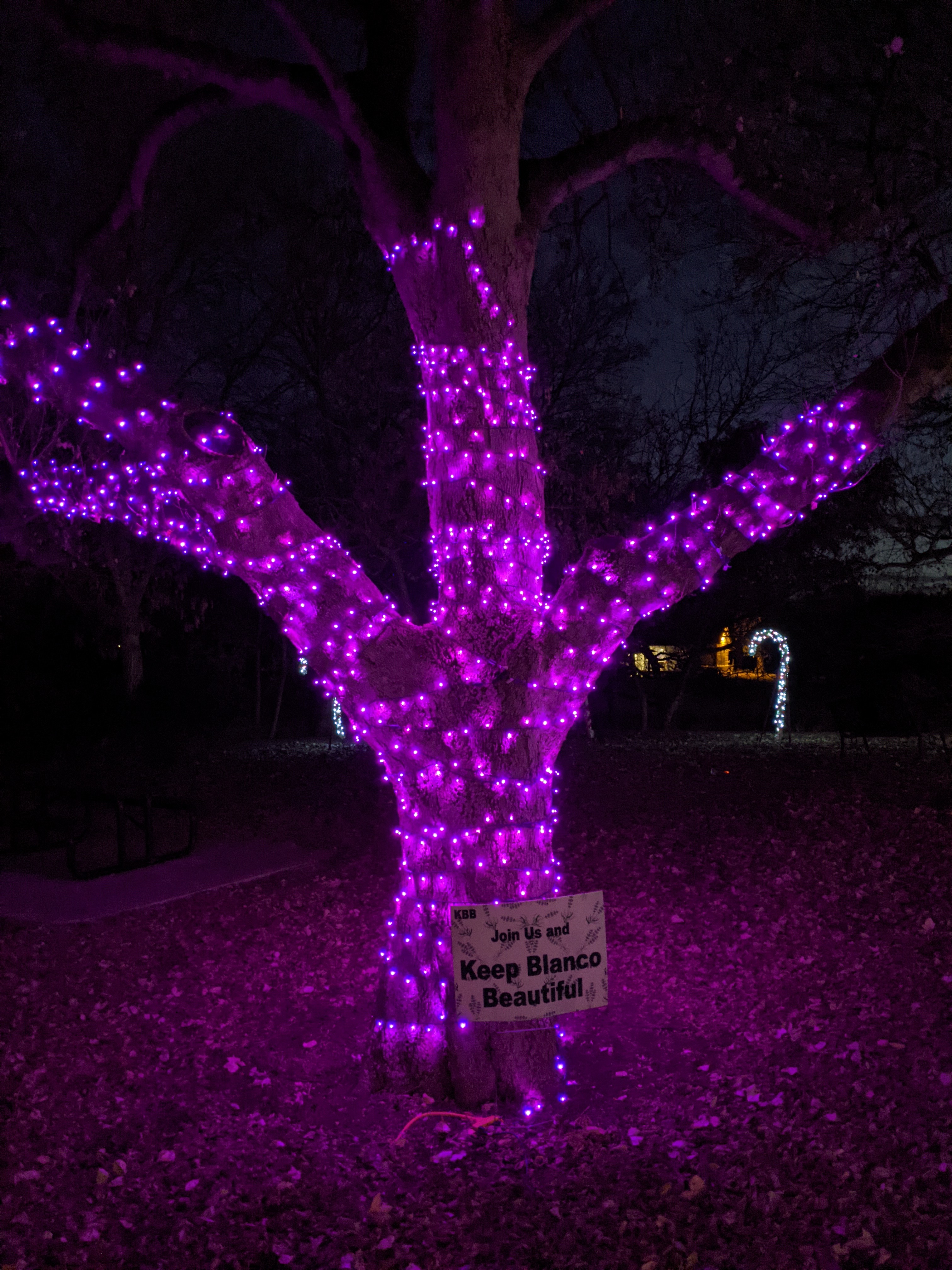 PXL_20201213_001635611.MP