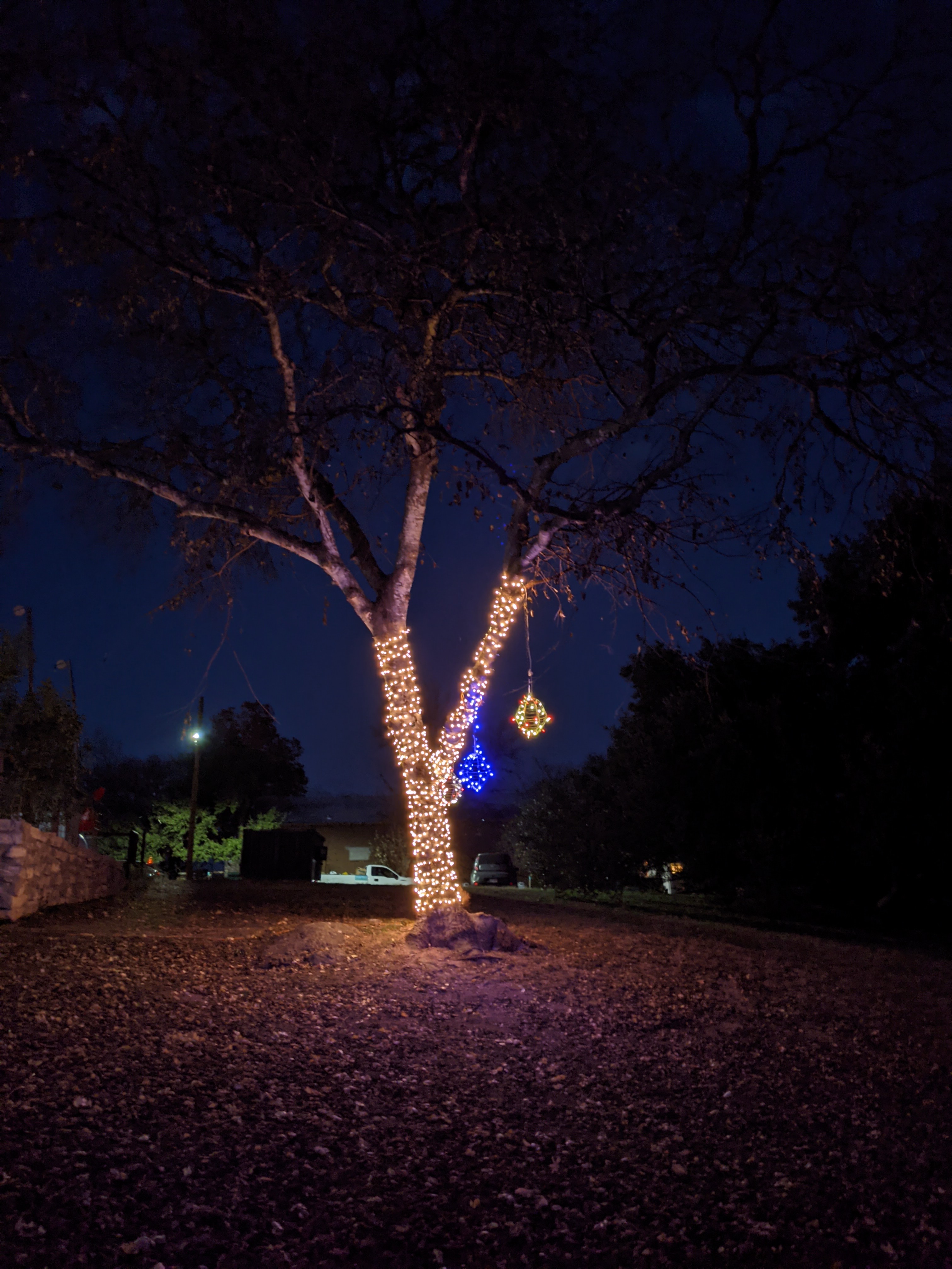 PXL_20201213_001701736.NIGHT