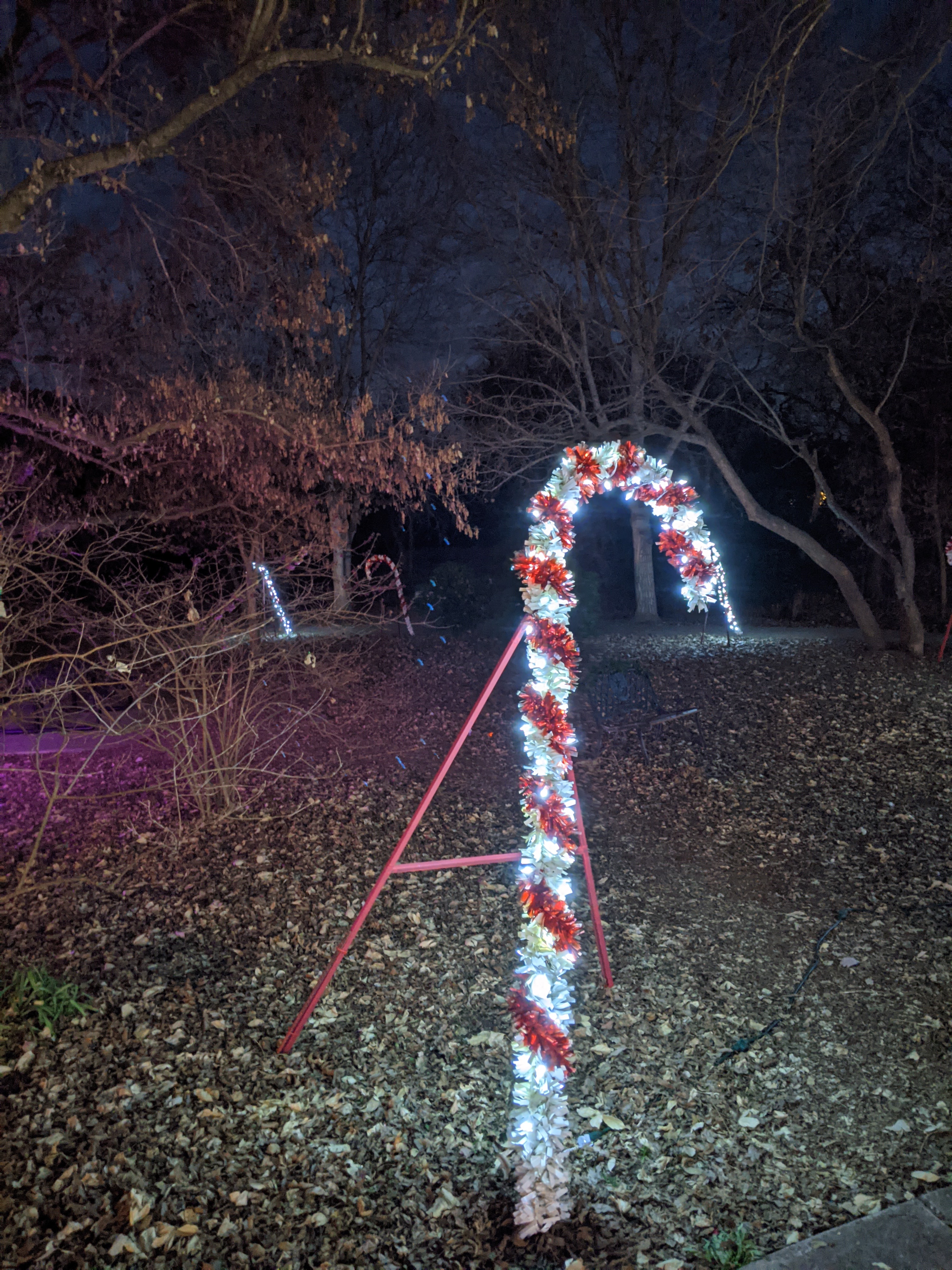 PXL_20201213_001725190.NIGHT