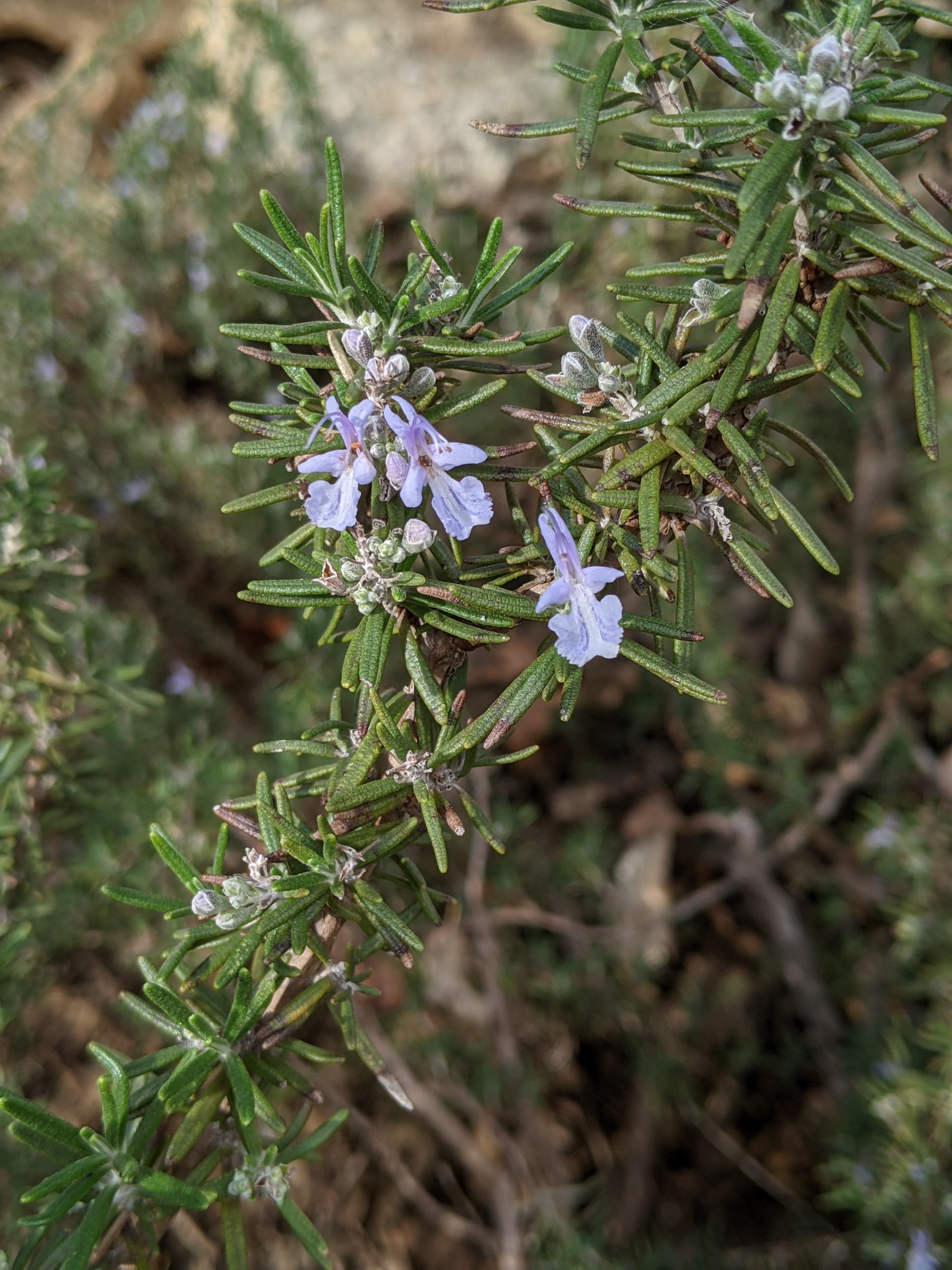 PXL_20201228_202058254