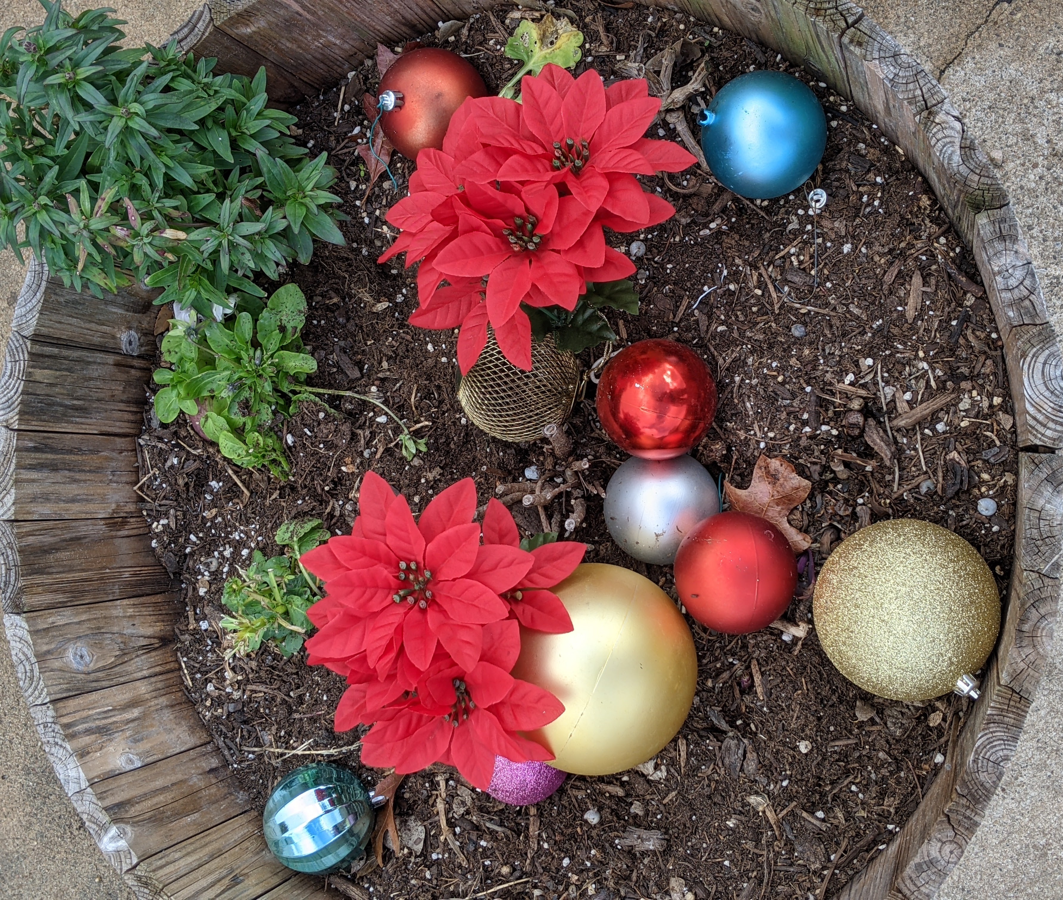 PXL_20201228_202208432