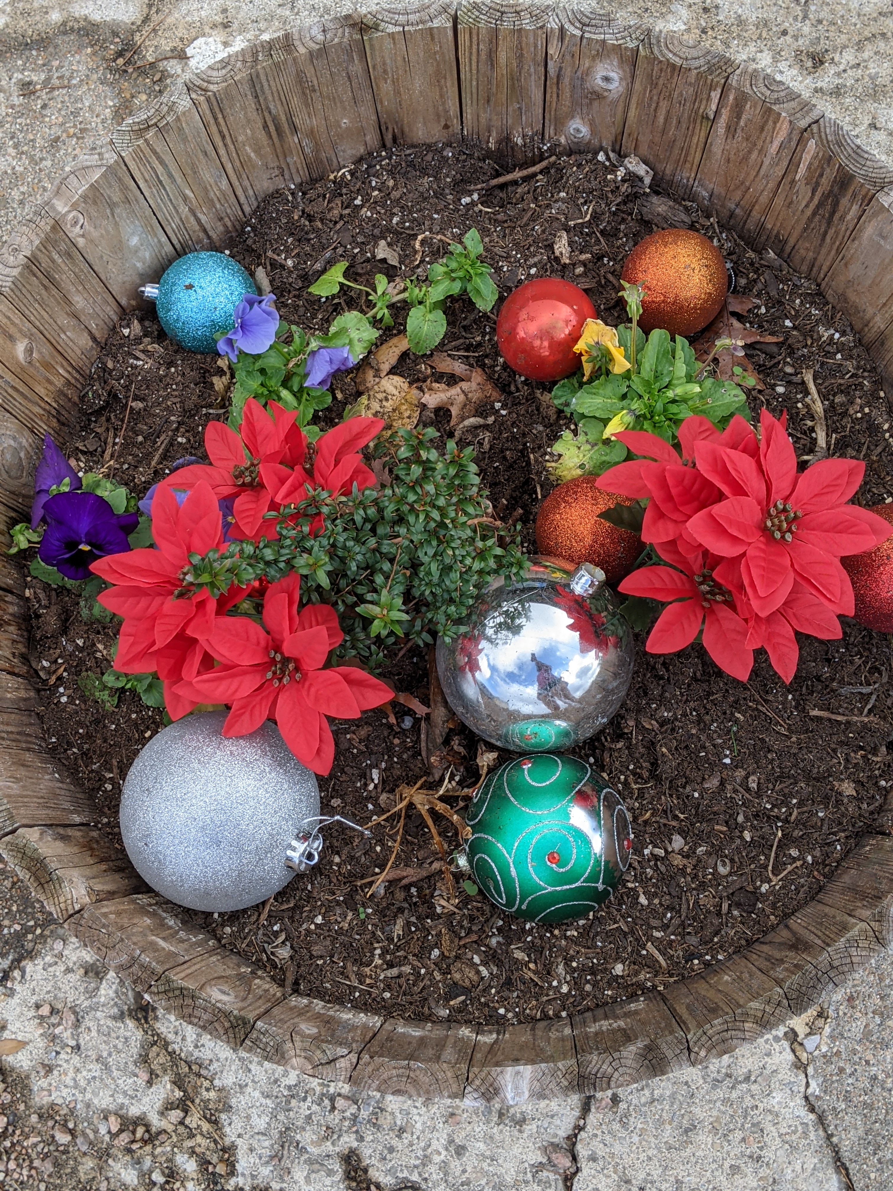 PXL_20201228_202216652